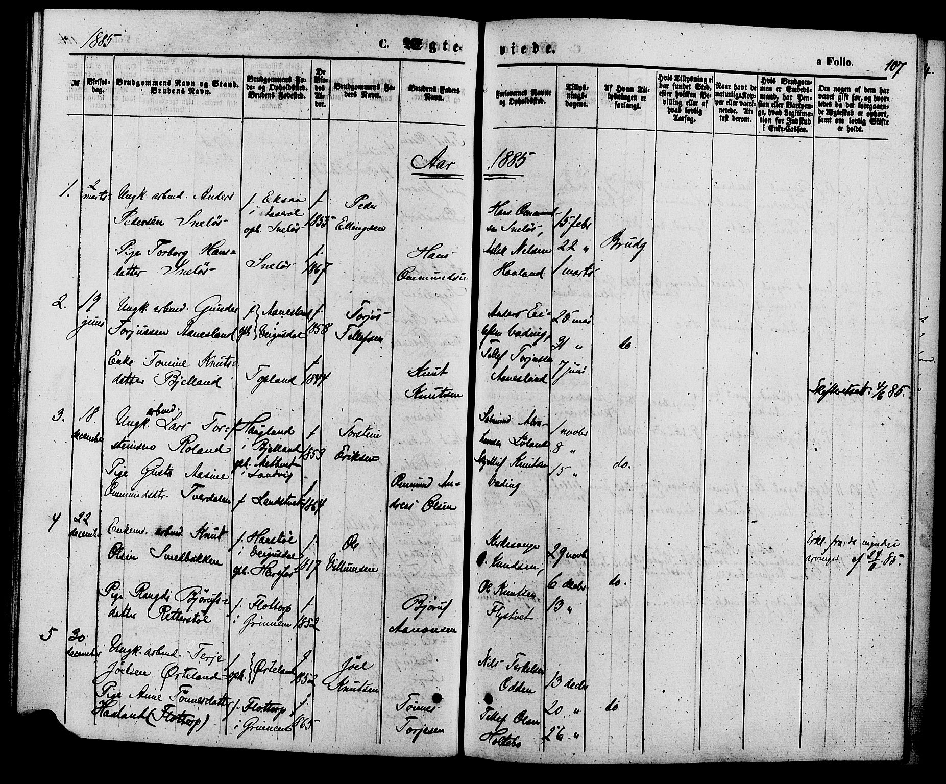 Herefoss sokneprestkontor, AV/SAK-1111-0019/F/Fa/Faa/L0002: Parish register (official) no. A 2, 1861-1886, p. 107