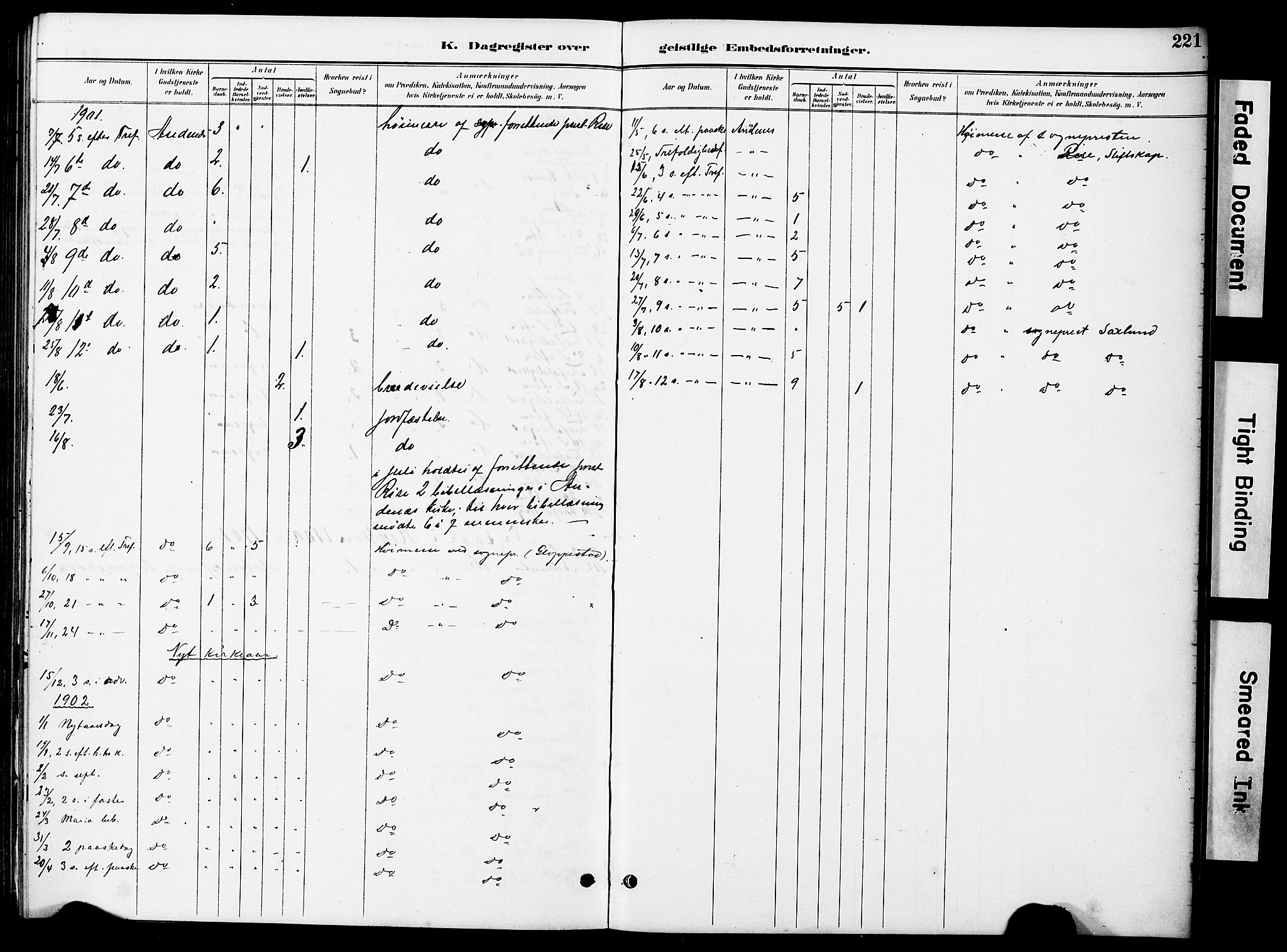 Ministerialprotokoller, klokkerbøker og fødselsregistre - Nordland, AV/SAT-A-1459/899/L1448: Parish register (copy) no. 899C03, 1887-1902, p. 221