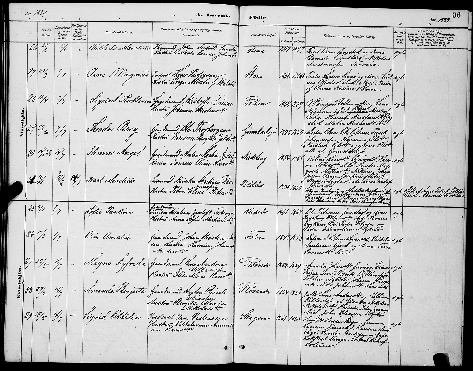 Ministerialprotokoller, klokkerbøker og fødselsregistre - Nordland, AV/SAT-A-1459/891/L1315: Parish register (copy) no. 891C04, 1886-1893, p. 36