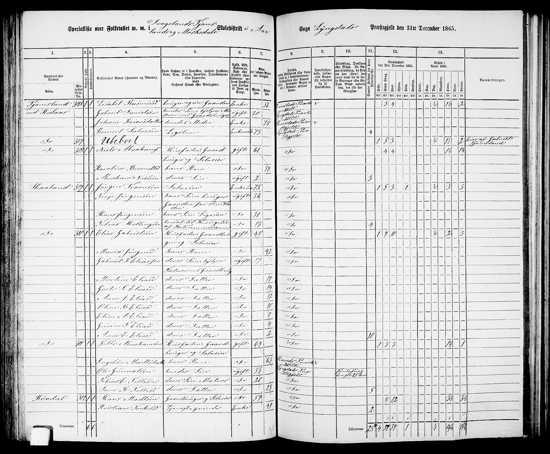RA, 1865 census for Lyngdal, 1865, p. 140