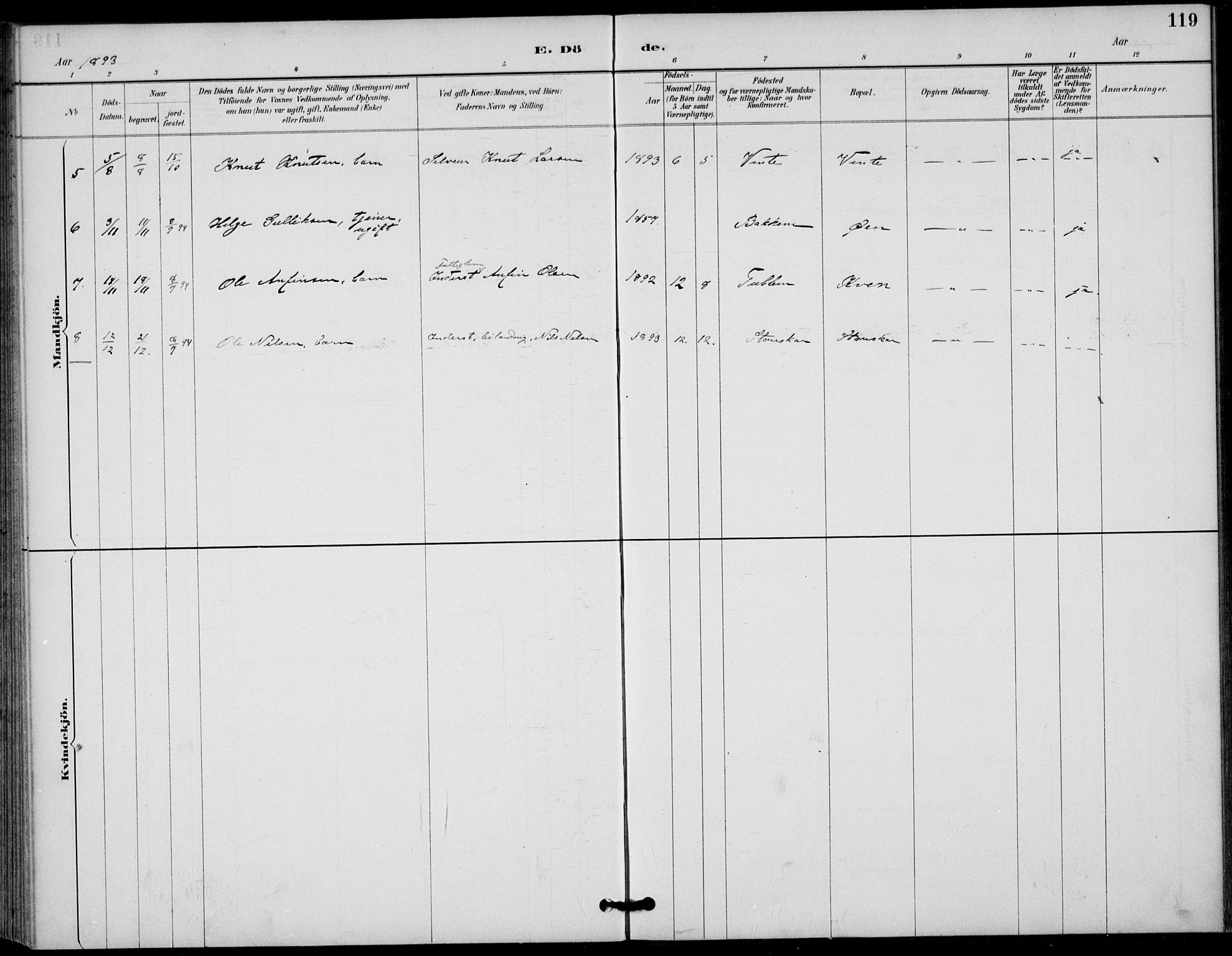 Gol kirkebøker, AV/SAKO-A-226/F/Fb/L0001: Parish register (official) no. II 1, 1887-1900, p. 119