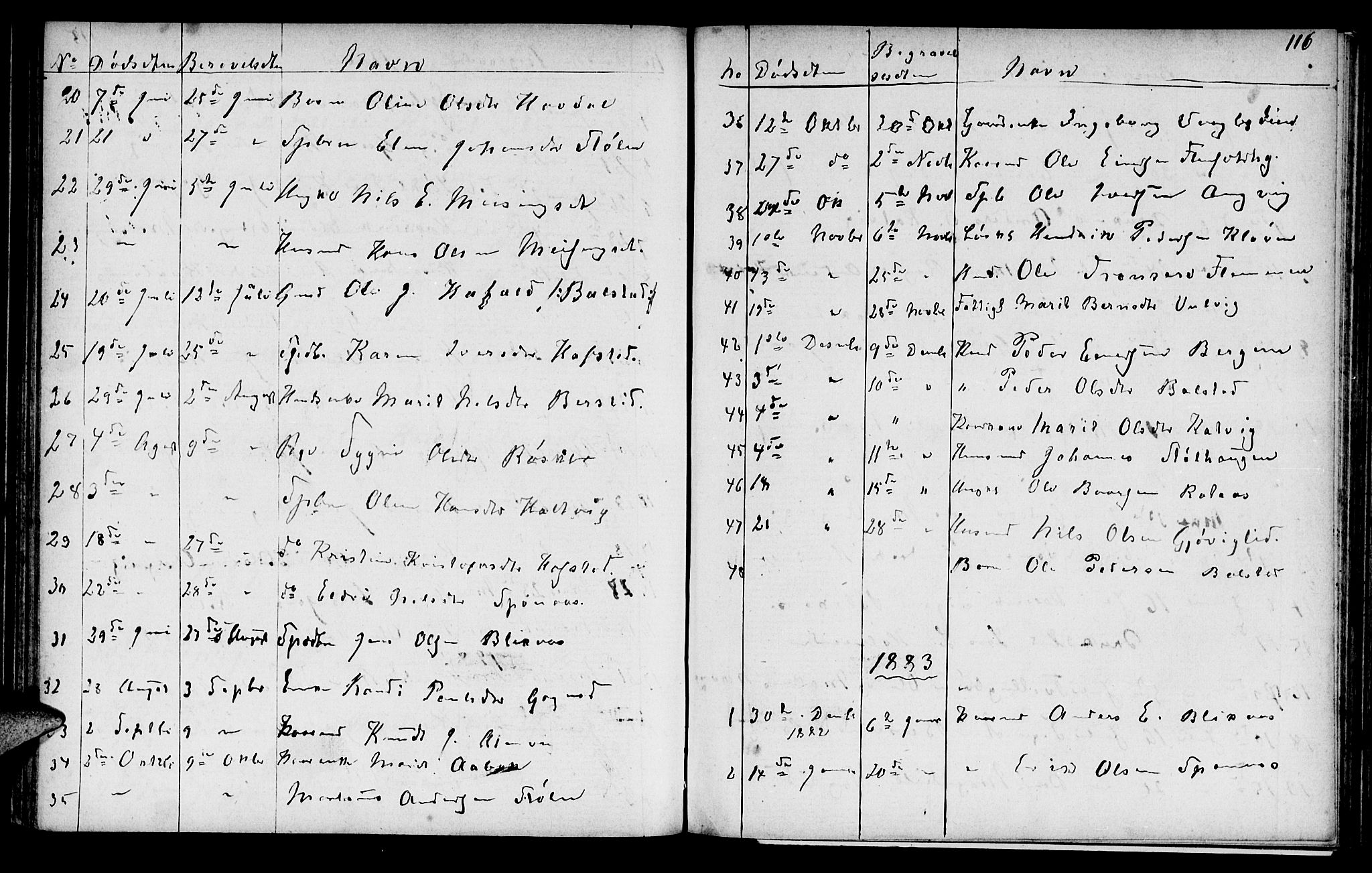 Ministerialprotokoller, klokkerbøker og fødselsregistre - Møre og Romsdal, AV/SAT-A-1454/586/L0991: Parish register (copy) no. 586C02, 1862-1892, p. 116