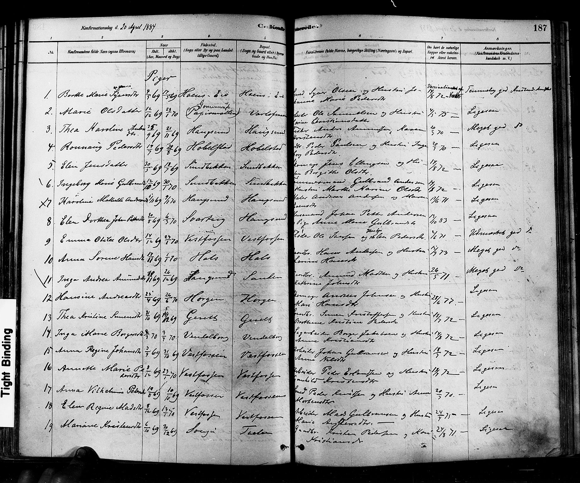 Eiker kirkebøker, AV/SAKO-A-4/F/Fb/L0001: Parish register (official) no. II 1, 1878-1888, p. 187