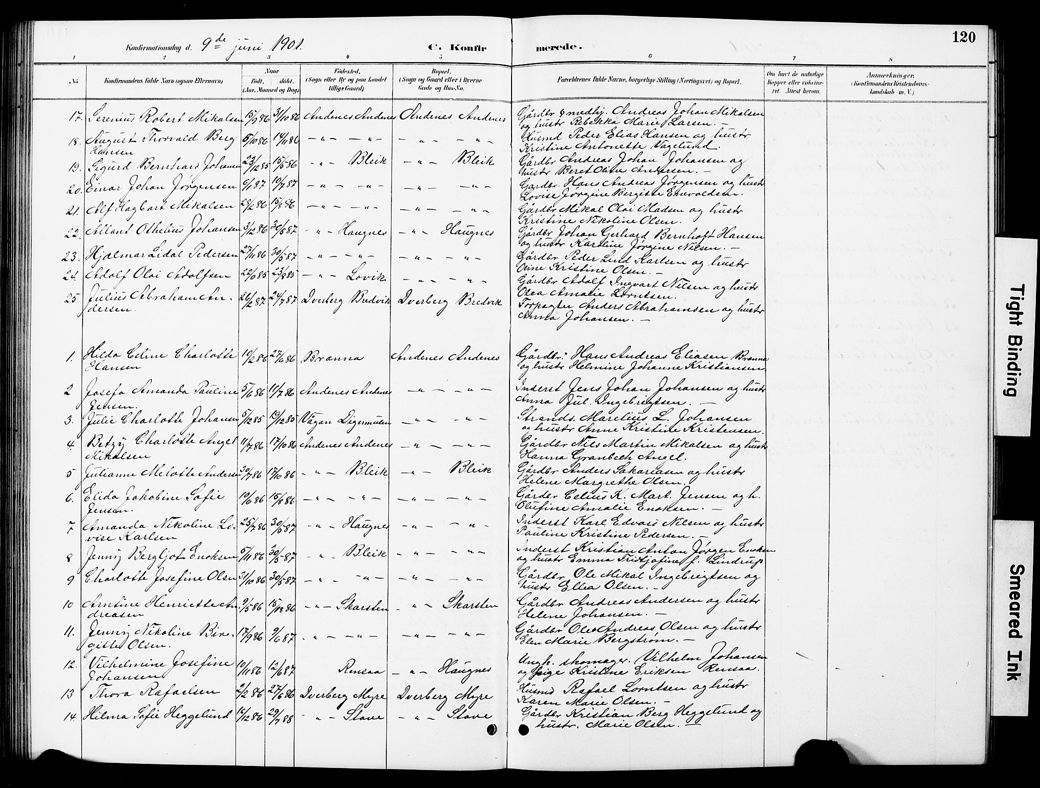 Ministerialprotokoller, klokkerbøker og fødselsregistre - Nordland, SAT/A-1459/897/L1413: Parish register (copy) no. 897C03, 1887-1903, p. 120