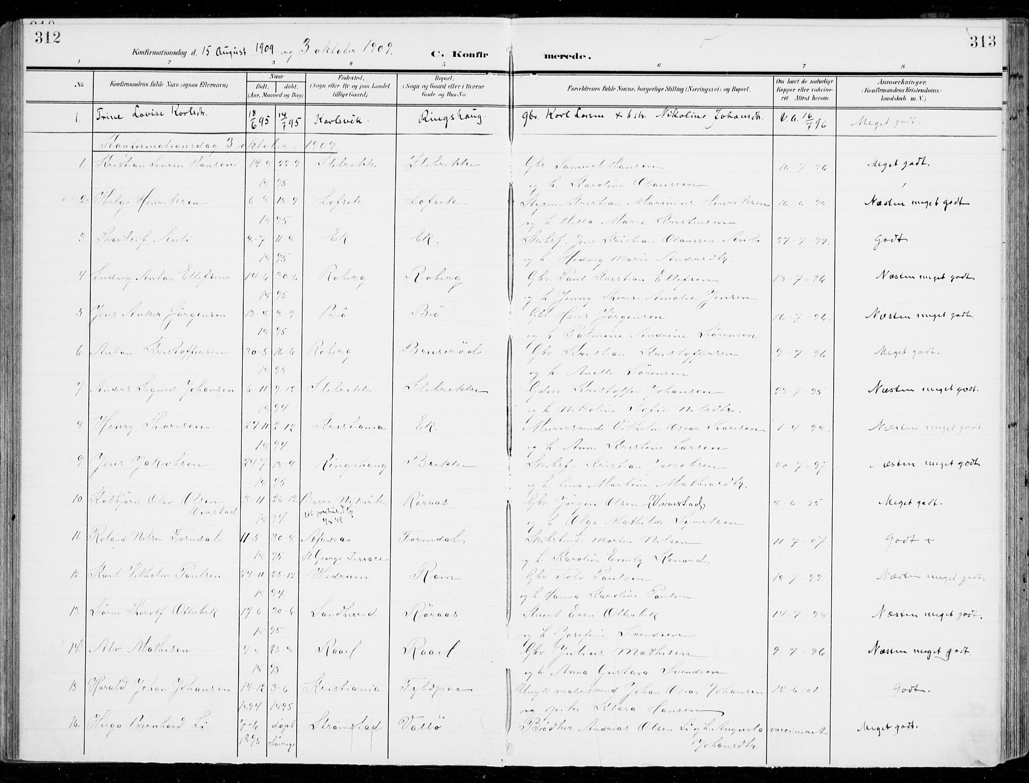 Sem kirkebøker, SAKO/A-5/F/Fb/L0006: Parish register (official) no. II 6, 1905-1918, p. 312-313