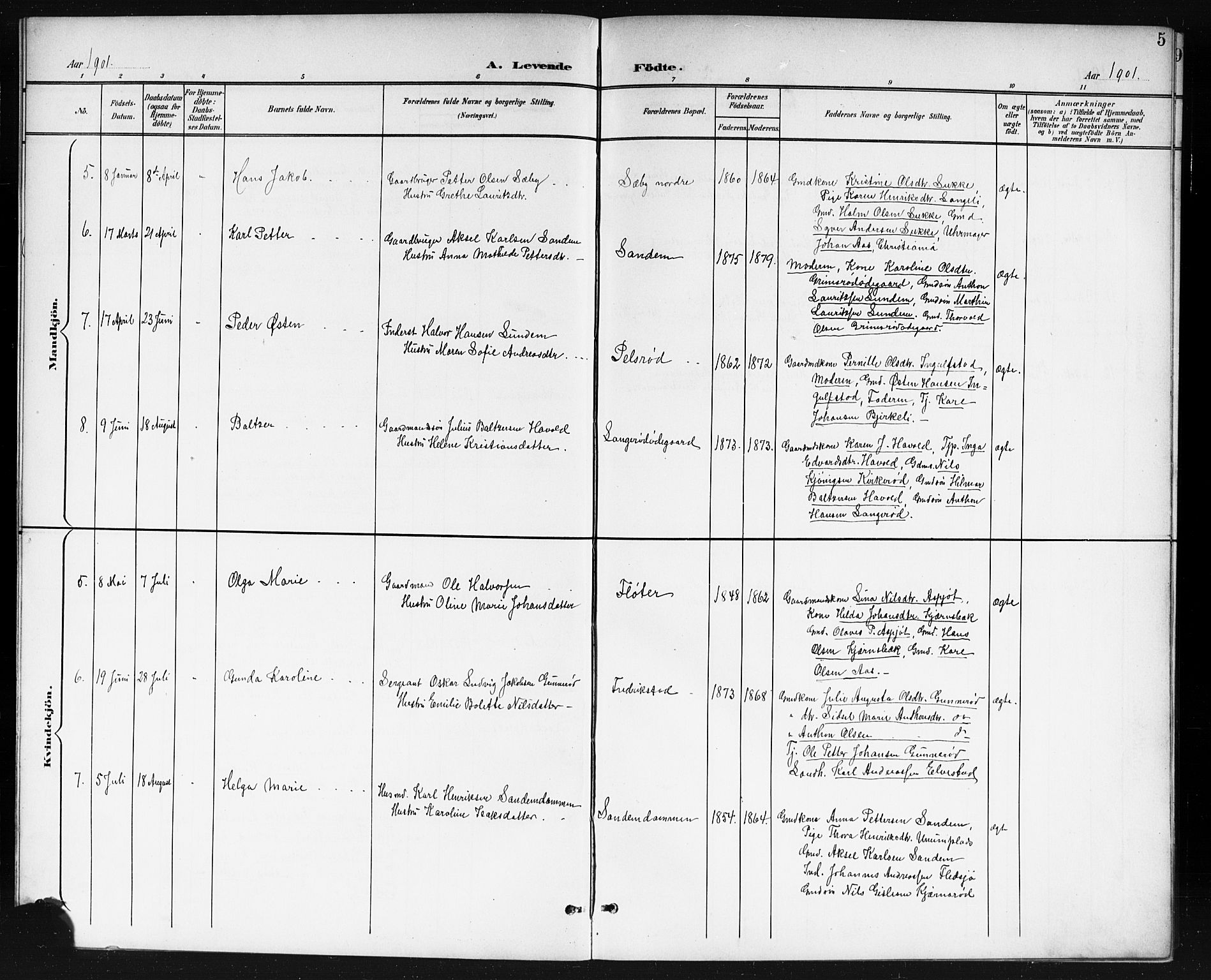 Våler prestekontor Kirkebøker, AV/SAO-A-11083/G/Gb/L0001: Parish register (copy) no. II 1, 1901-1916, p. 5