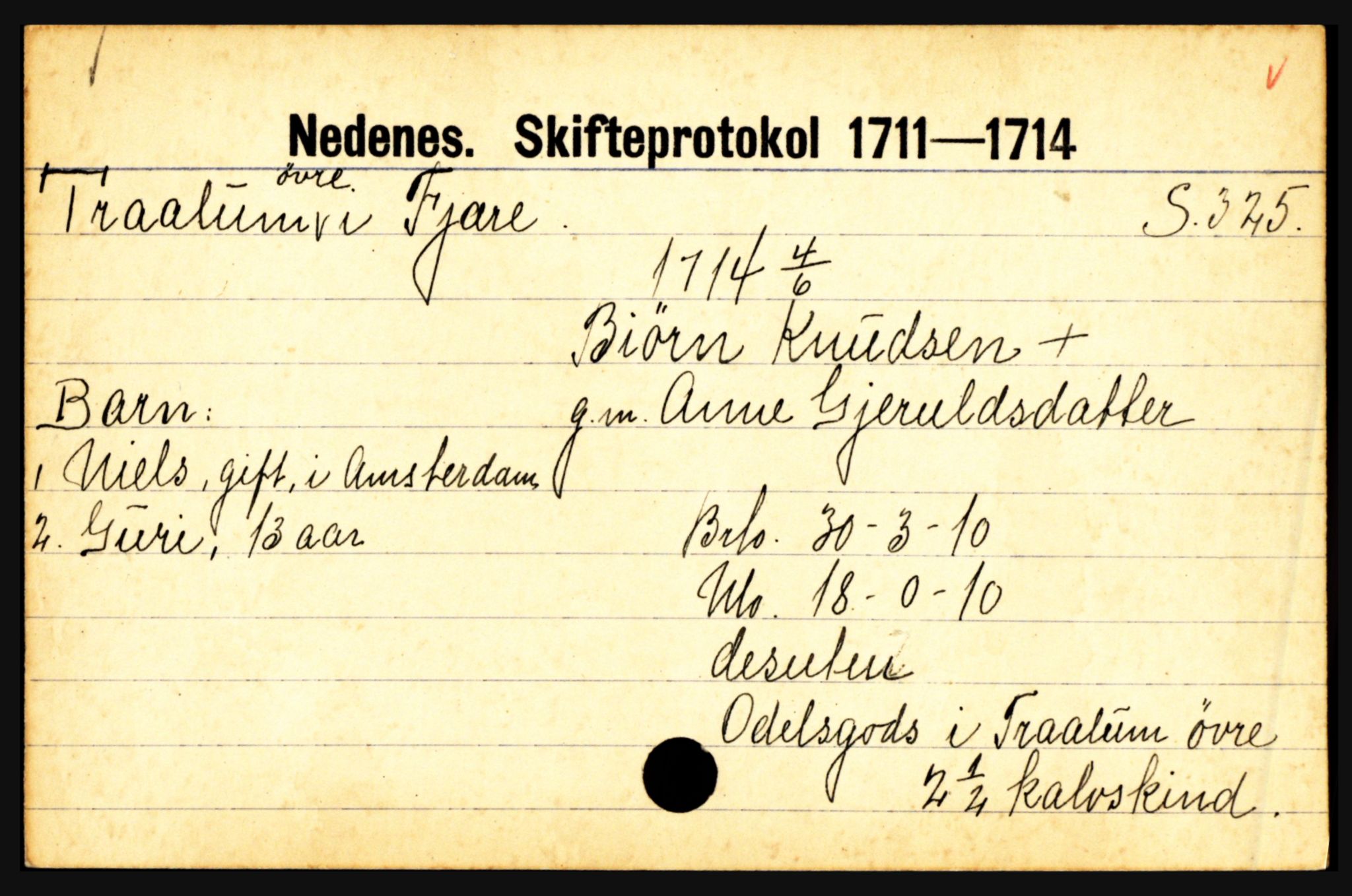 Nedenes sorenskriveri før 1824, AV/SAK-1221-0007/H, p. 31153