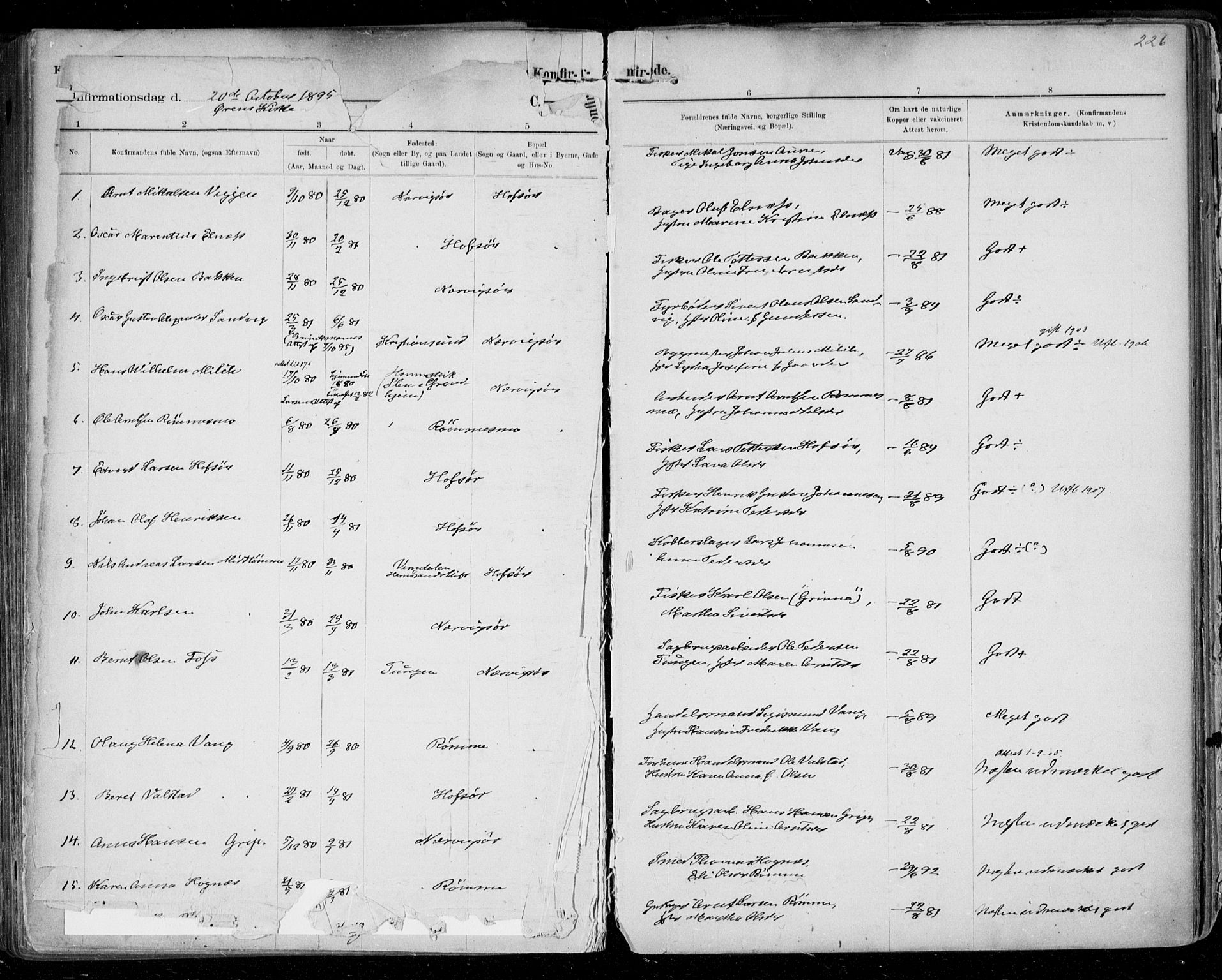 Ministerialprotokoller, klokkerbøker og fødselsregistre - Sør-Trøndelag, SAT/A-1456/668/L0811: Parish register (official) no. 668A11, 1894-1913, p. 226