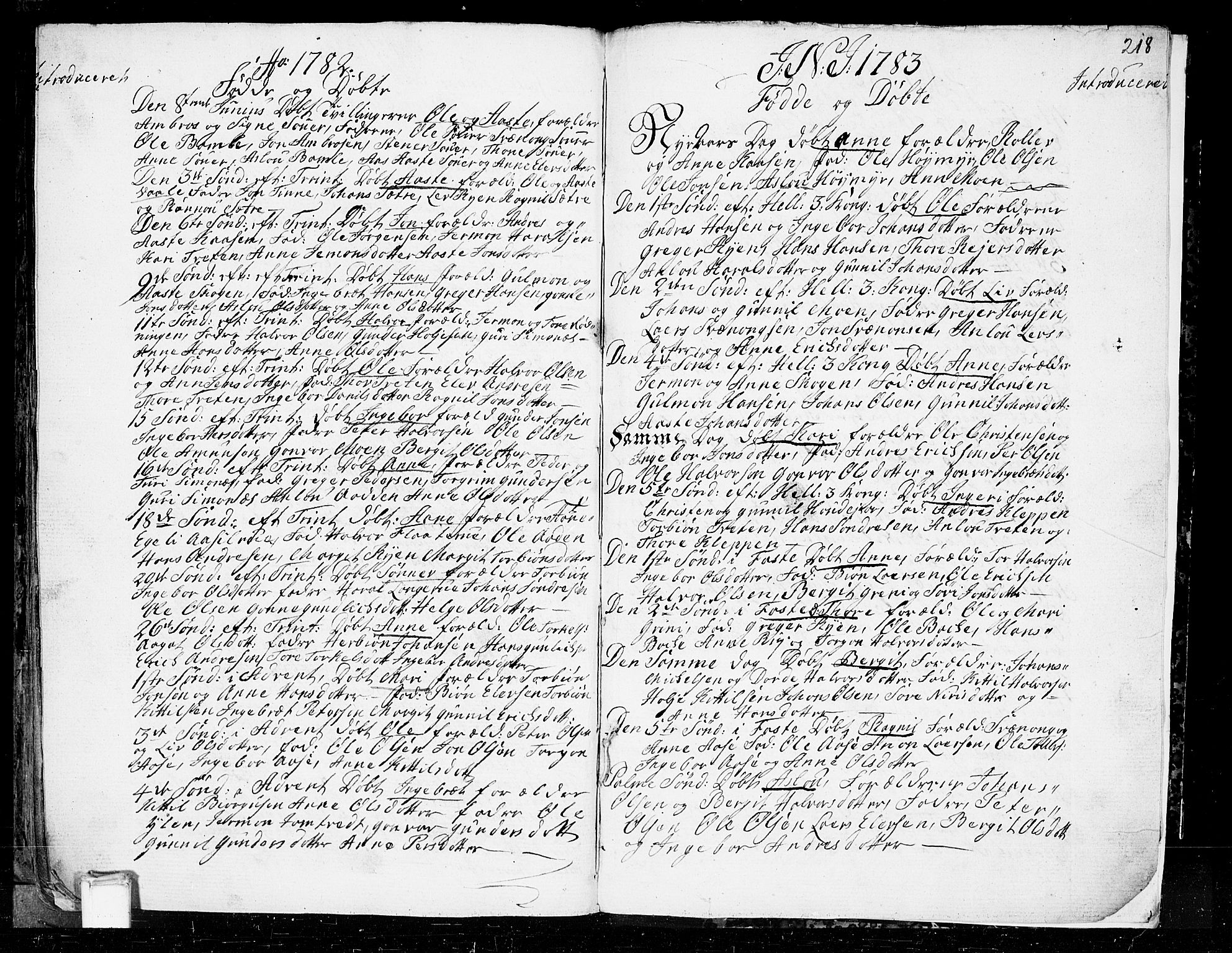 Heddal kirkebøker, AV/SAKO-A-268/F/Fa/L0003: Parish register (official) no. I 3, 1723-1783, p. 218