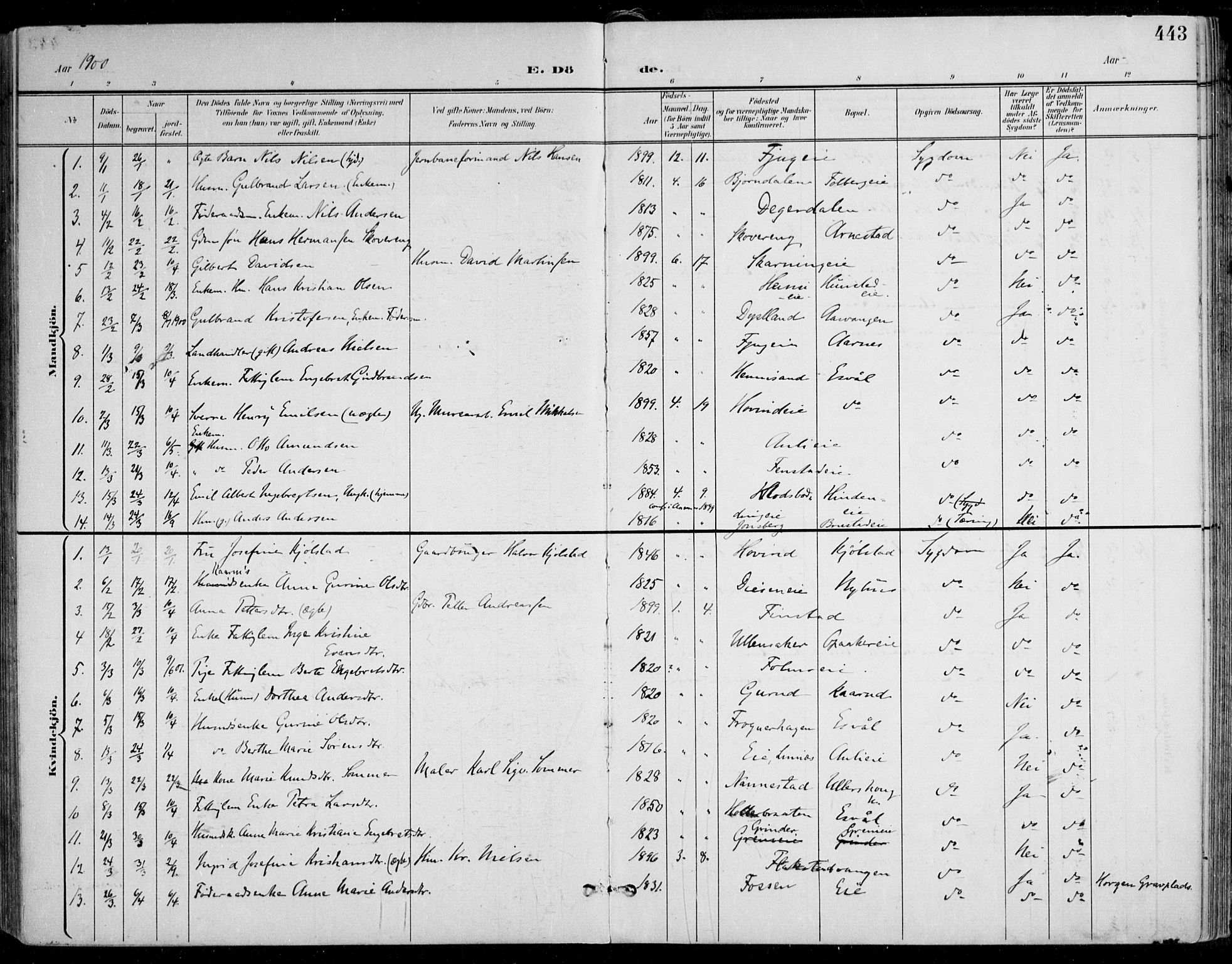 Nes prestekontor Kirkebøker, SAO/A-10410/F/Fa/L0011: Parish register (official) no. I 11, 1899-1918, p. 443