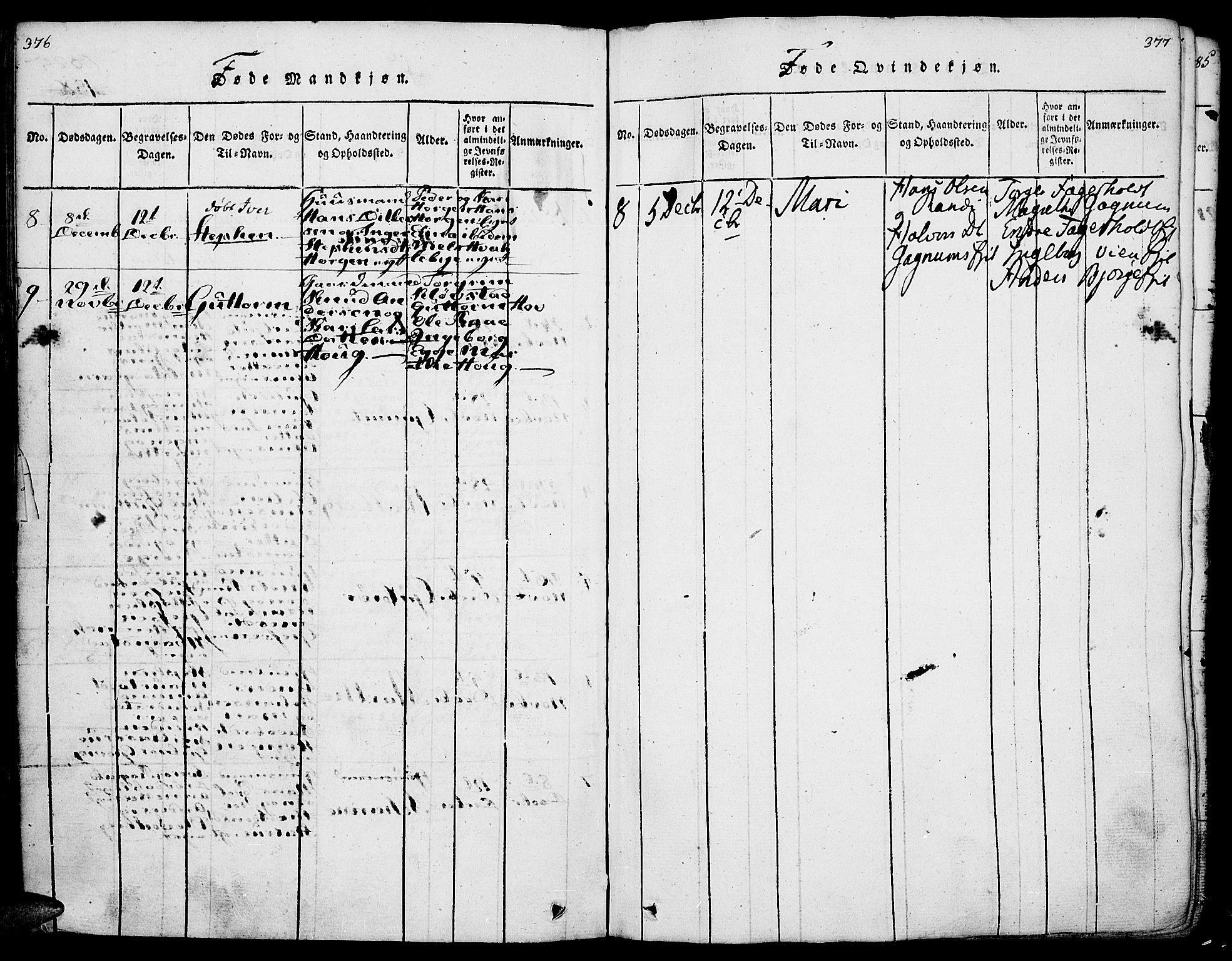 Gran prestekontor, SAH/PREST-112/H/Ha/Haa/L0009: Parish register (official) no. 9, 1815-1824, p. 376-377