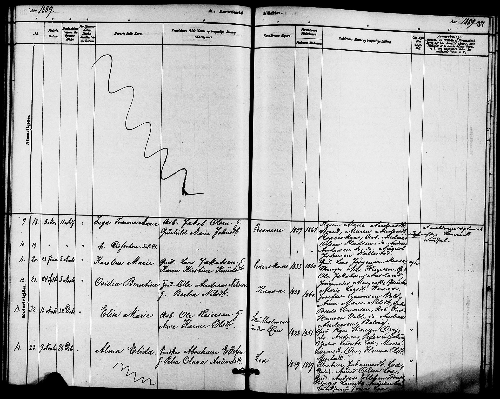 Solum kirkebøker, SAKO/A-306/F/Fc/L0001: Parish register (official) no. III 1, 1877-1891, p. 37