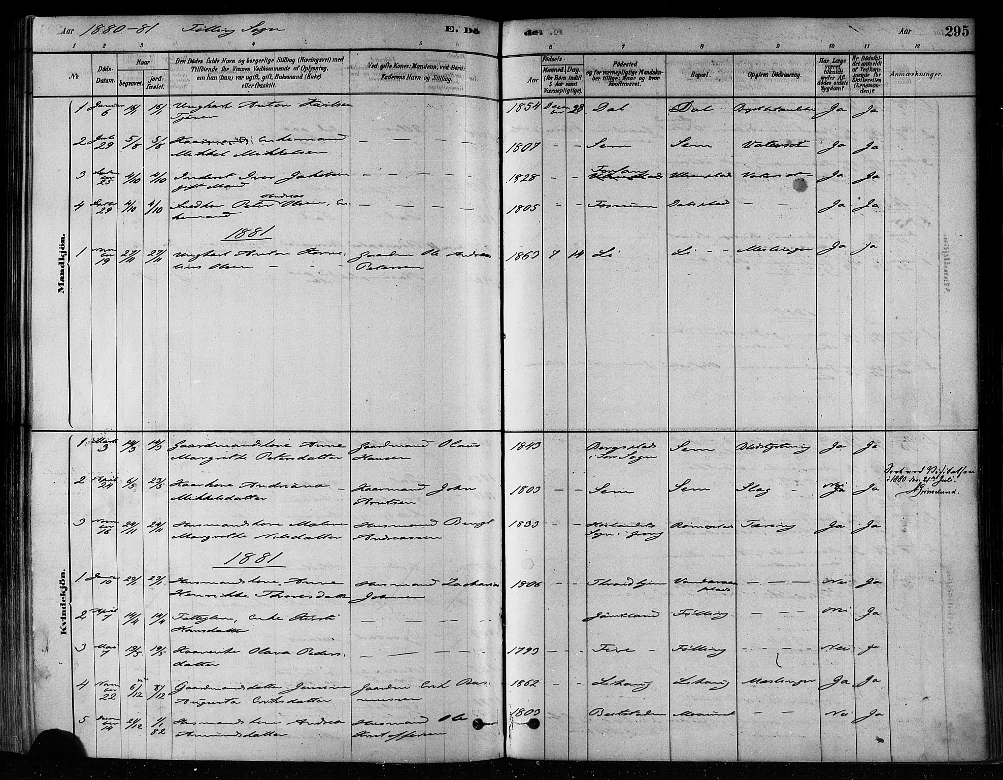 Ministerialprotokoller, klokkerbøker og fødselsregistre - Nord-Trøndelag, AV/SAT-A-1458/746/L0449: Parish register (official) no. 746A07 /3, 1878-1899, p. 295