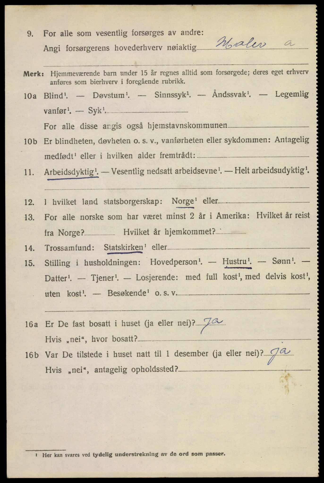 SAKO, 1920 census for Horten, 1920, p. 17544