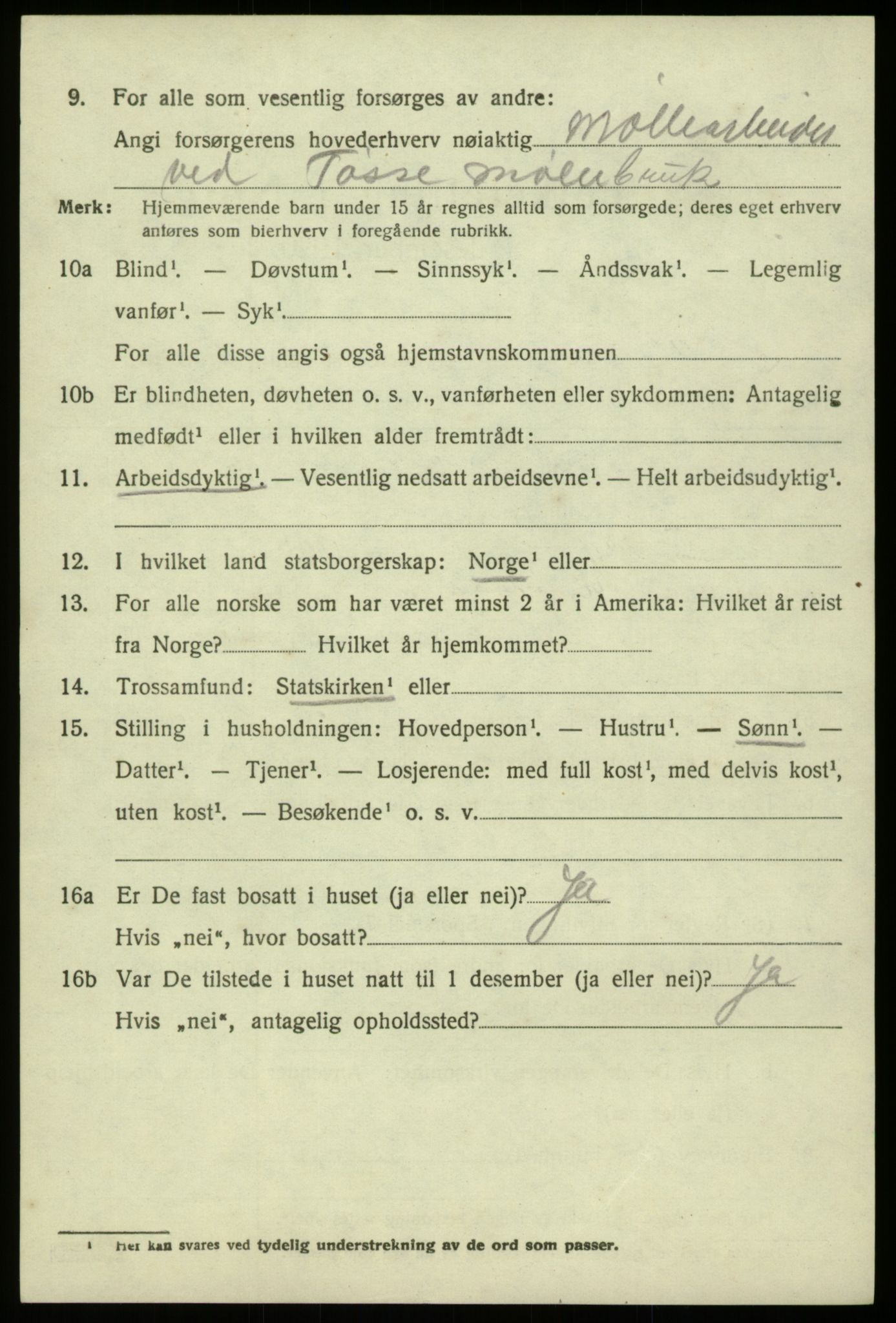 SAB, 1920 census for Hosanger, 1920, p. 4220