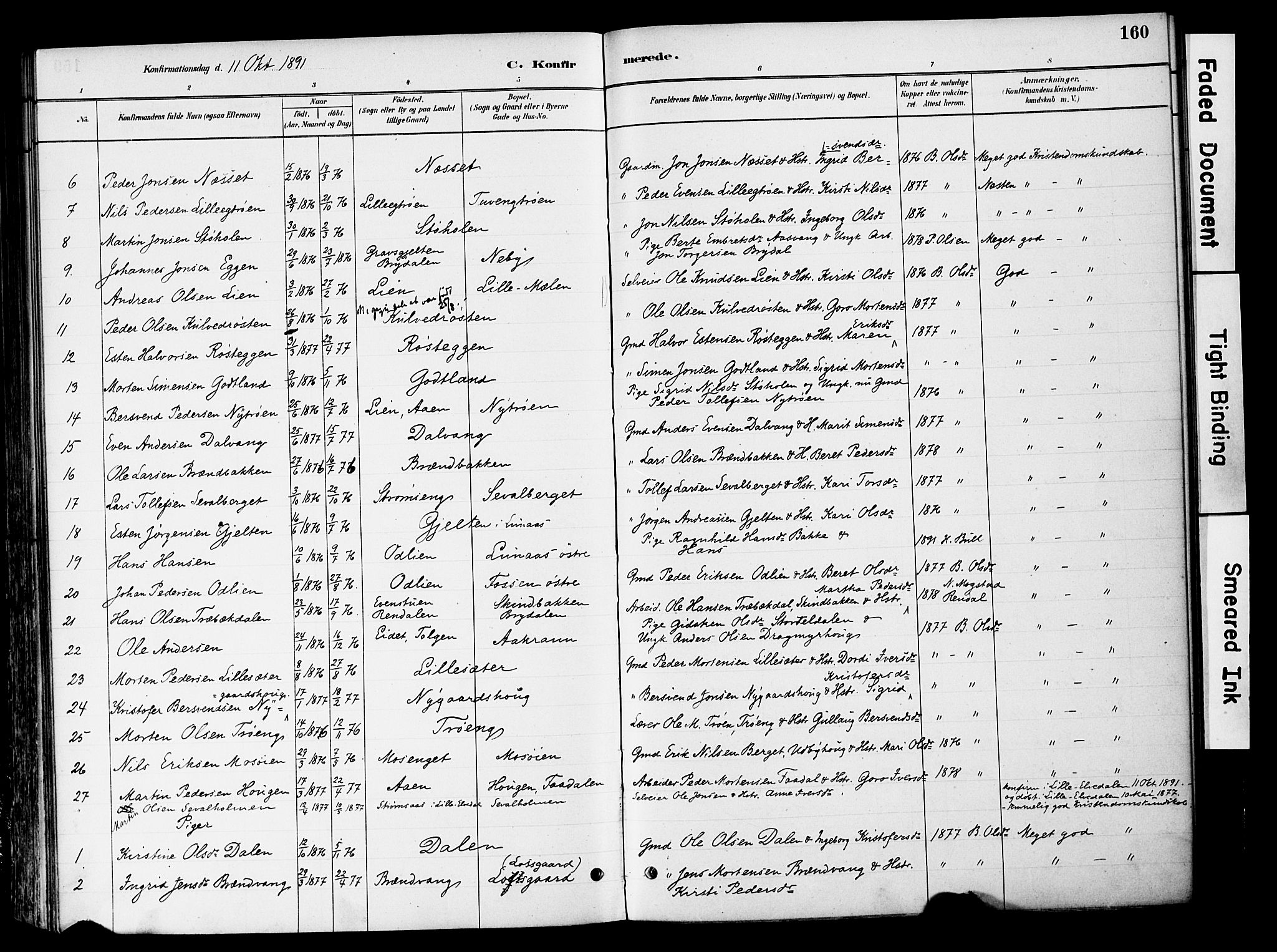 Tynset prestekontor, AV/SAH-PREST-058/H/Ha/Haa/L0022: Parish register (official) no. 22, 1880-1899, p. 160