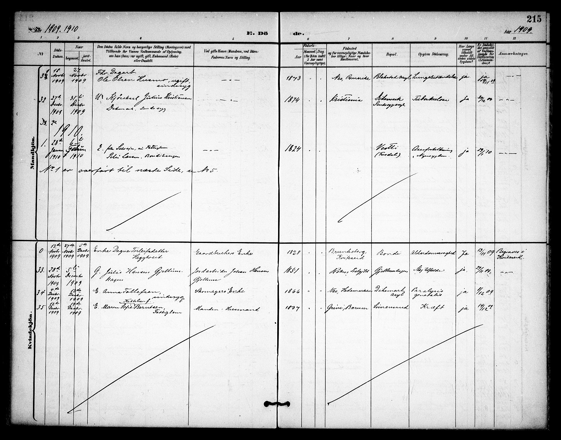 Asker prestekontor Kirkebøker, AV/SAO-A-10256a/F/Fa/L0015: Parish register (official) no. I 15, 1896-1915, p. 215