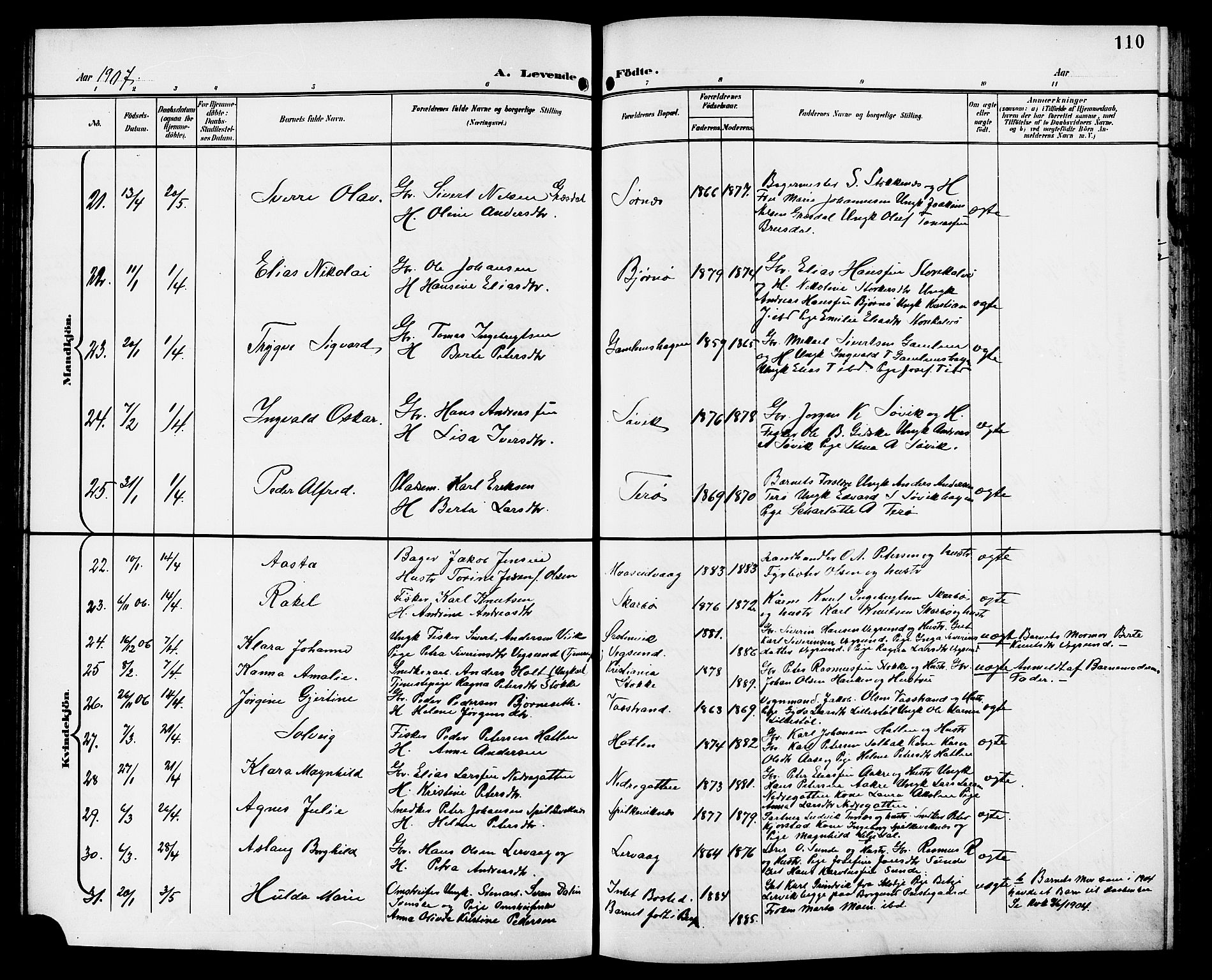 Ministerialprotokoller, klokkerbøker og fødselsregistre - Møre og Romsdal, AV/SAT-A-1454/528/L0432: Parish register (copy) no. 528C13, 1898-1918, p. 110