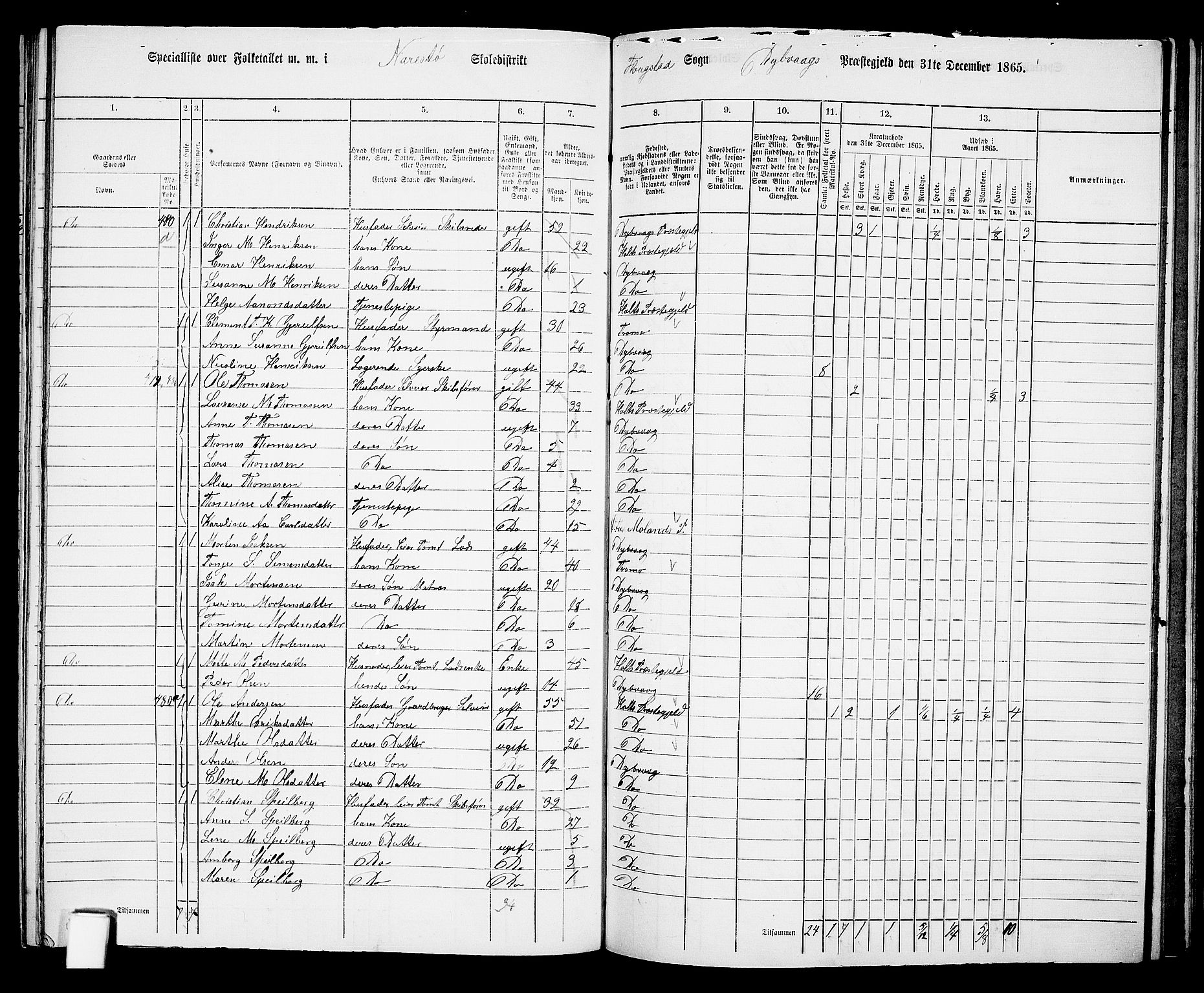 RA, 1865 census for Dypvåg, 1865, p. 132