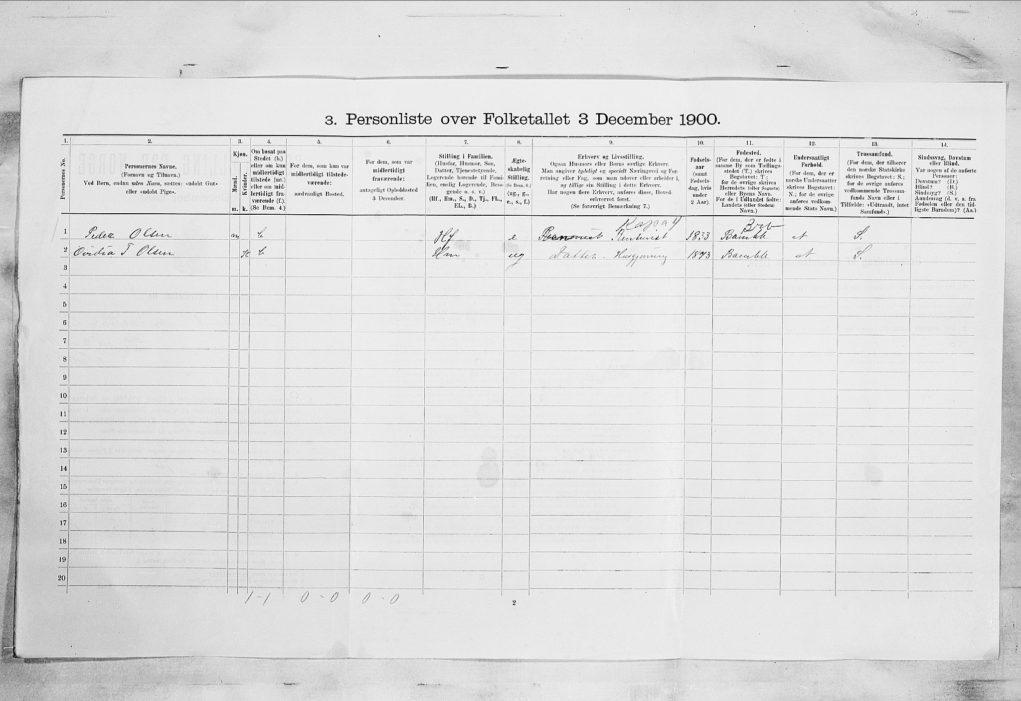 SAKO, 1900 census for Langesund, 1900, p. 797