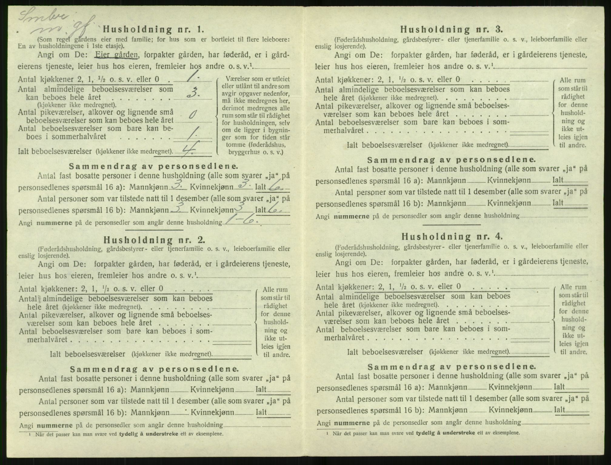 SAT, 1920 census for Stranda, 1920, p. 206