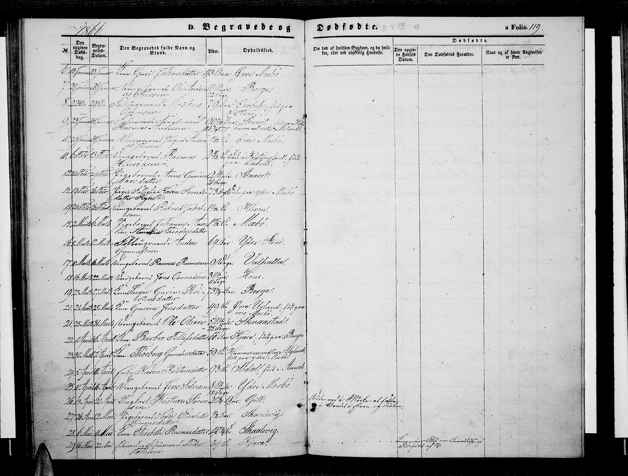 Oddernes sokneprestkontor, AV/SAK-1111-0033/F/Fb/Fba/L0006: Parish register (copy) no. B 6 /1, 1860-1869, p. 119