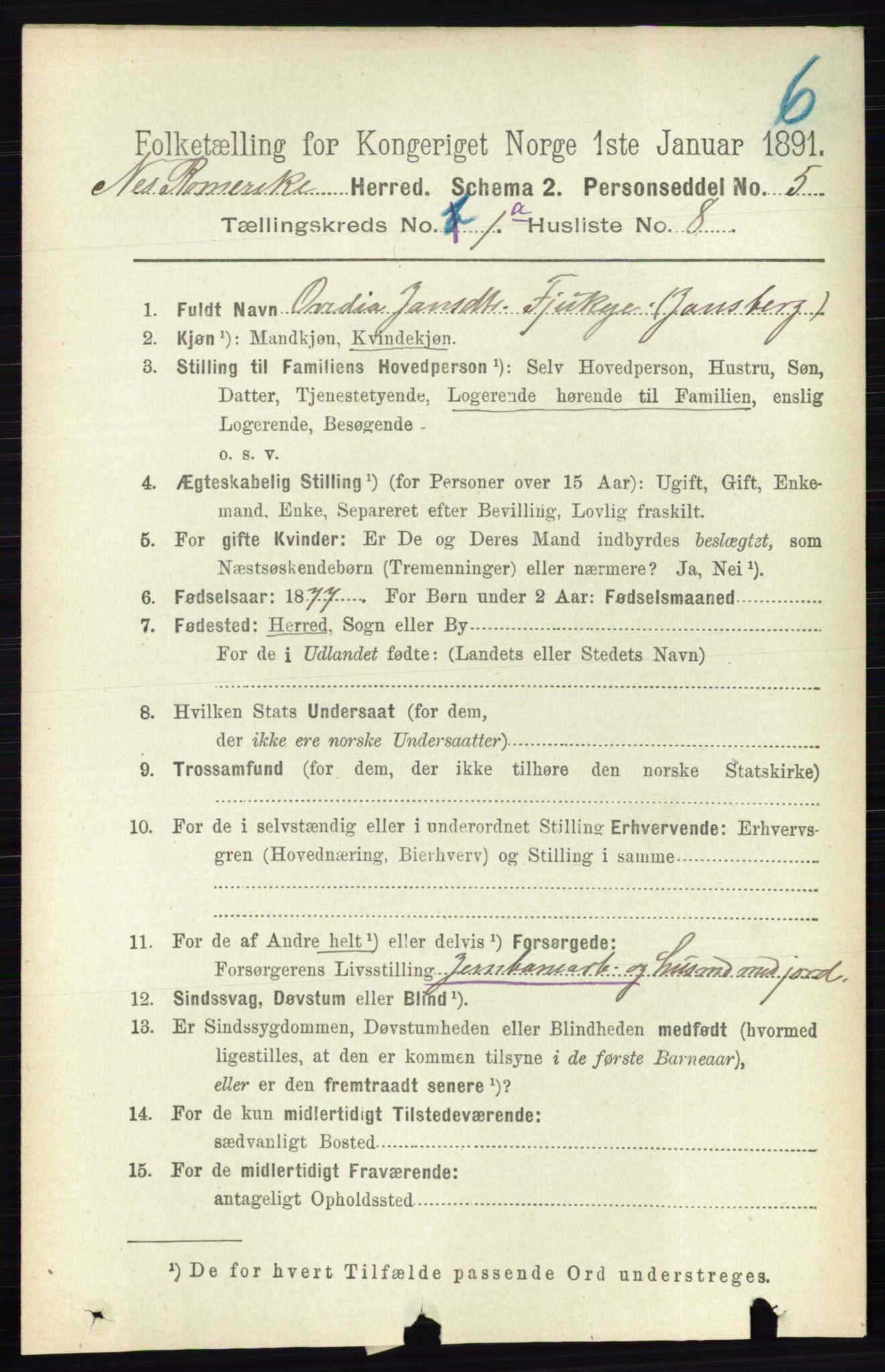 RA, 1891 census for 0236 Nes, 1891, p. 165