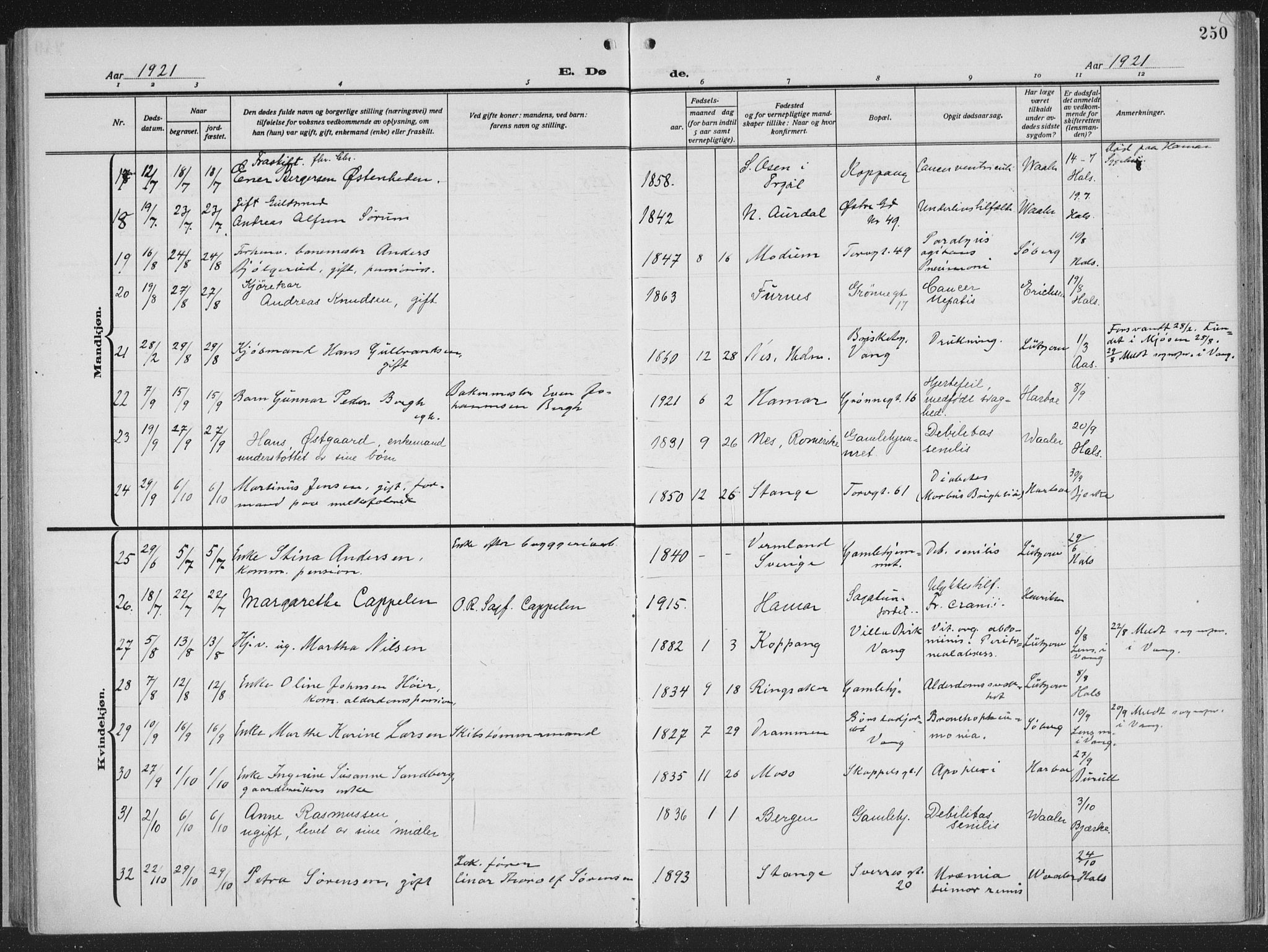 Hamar prestekontor, AV/SAH-DOMPH-002/H/Ha/Haa/L0002: Parish register (official) no. 2, 1915-1936, p. 250