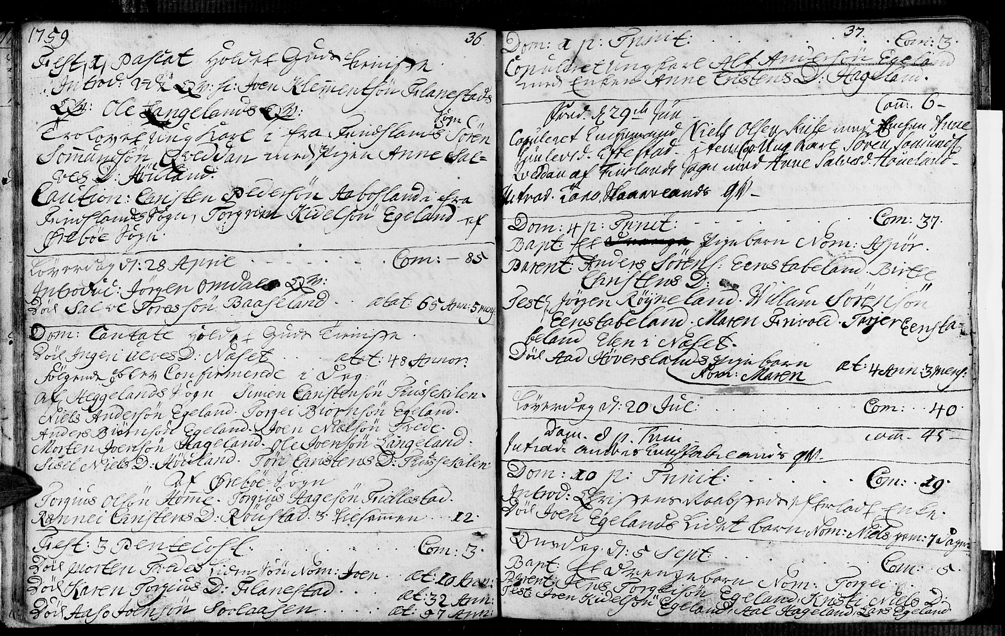 Vennesla sokneprestkontor, SAK/1111-0045/Fa/Faa/L0001: Parish register (official) no. A 1, 1753-1785, p. 36-37