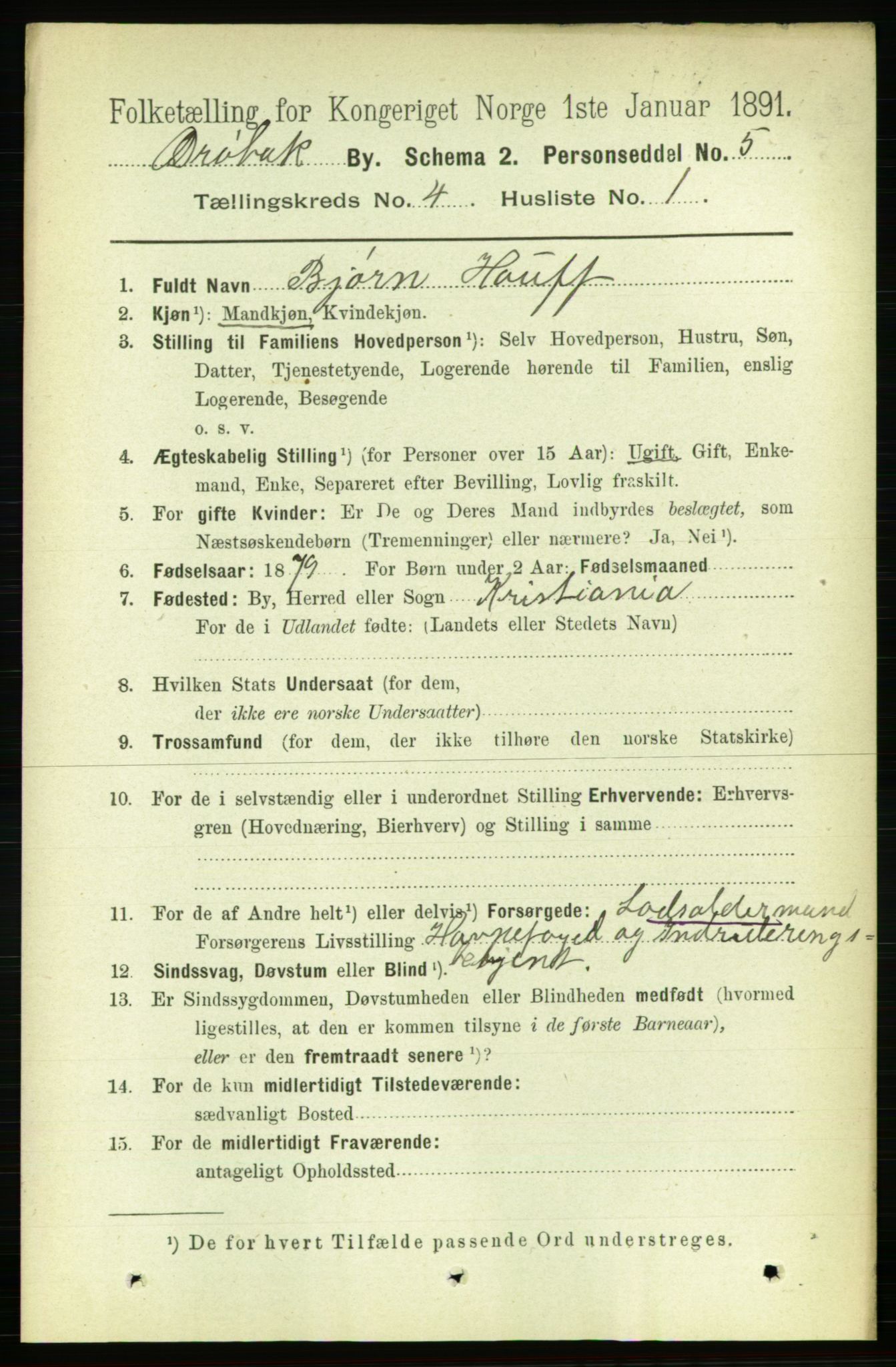 RA, 1891 census for 0203 Drøbak, 1891, p. 2528