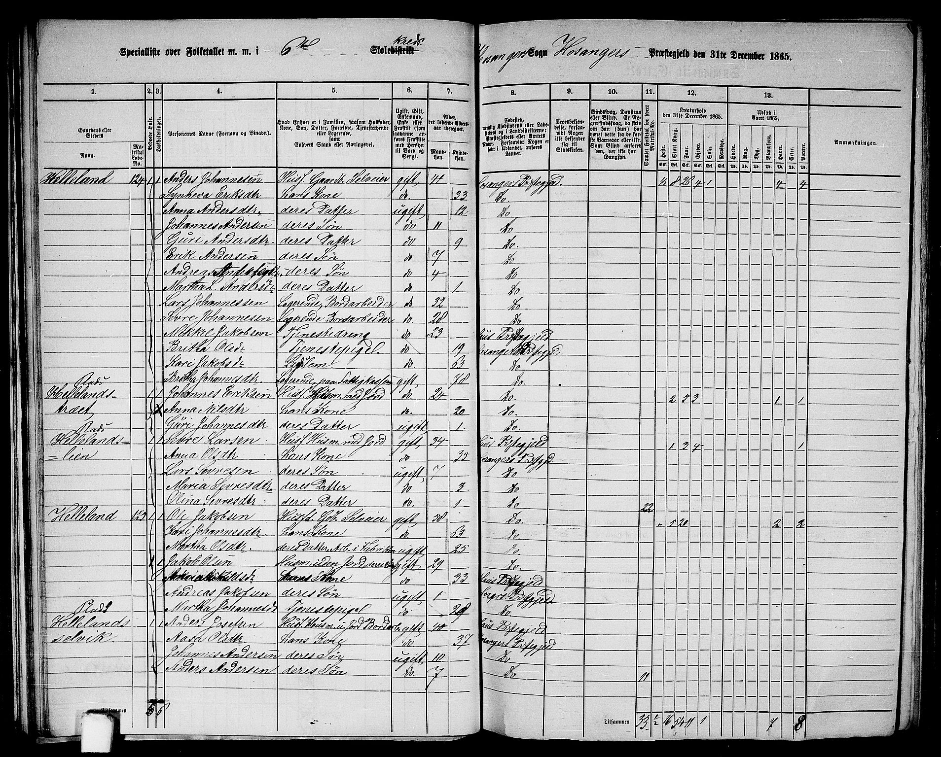 RA, 1865 census for Hosanger, 1865, p. 42