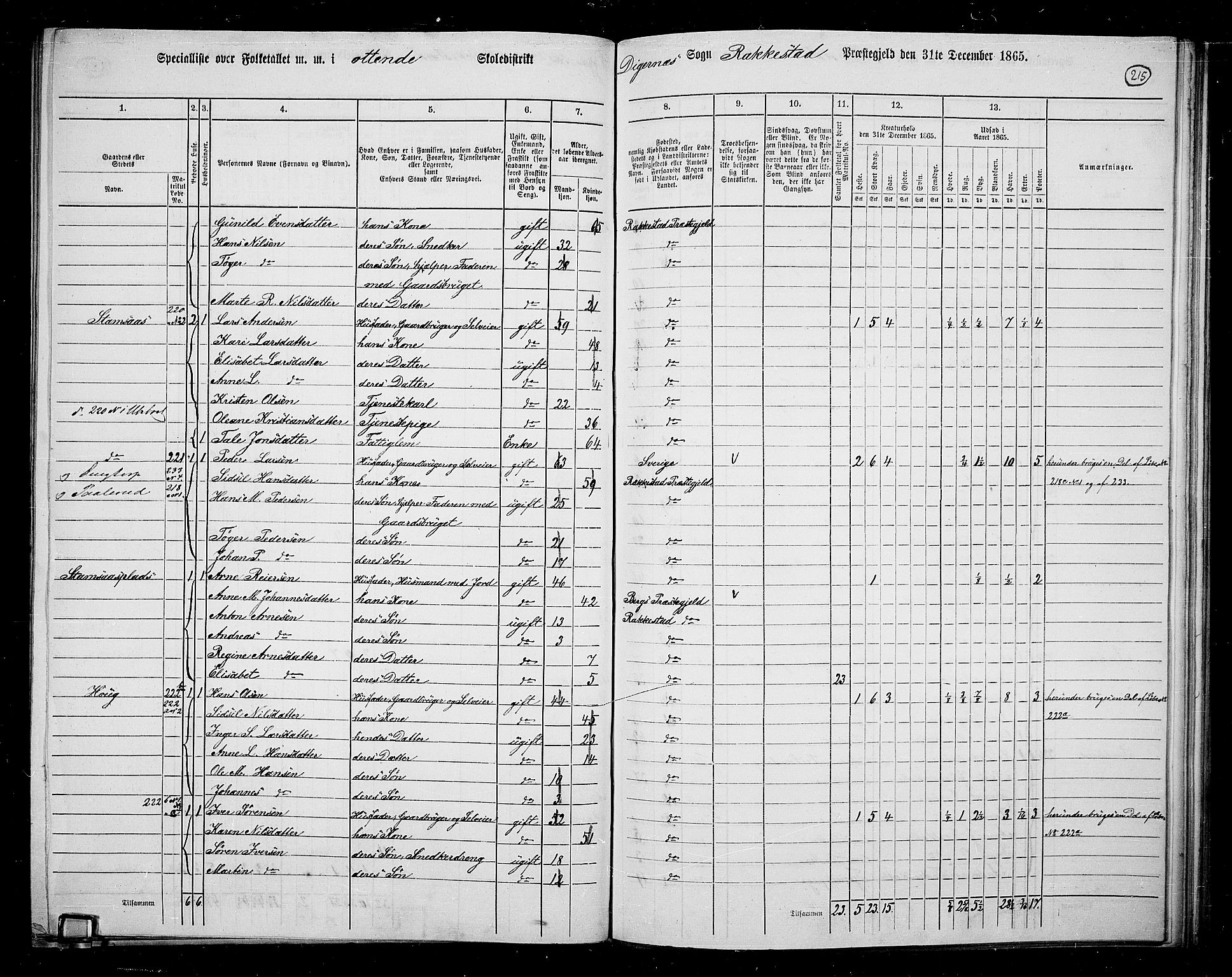 RA, 1865 census for Rakkestad, 1865, p. 206