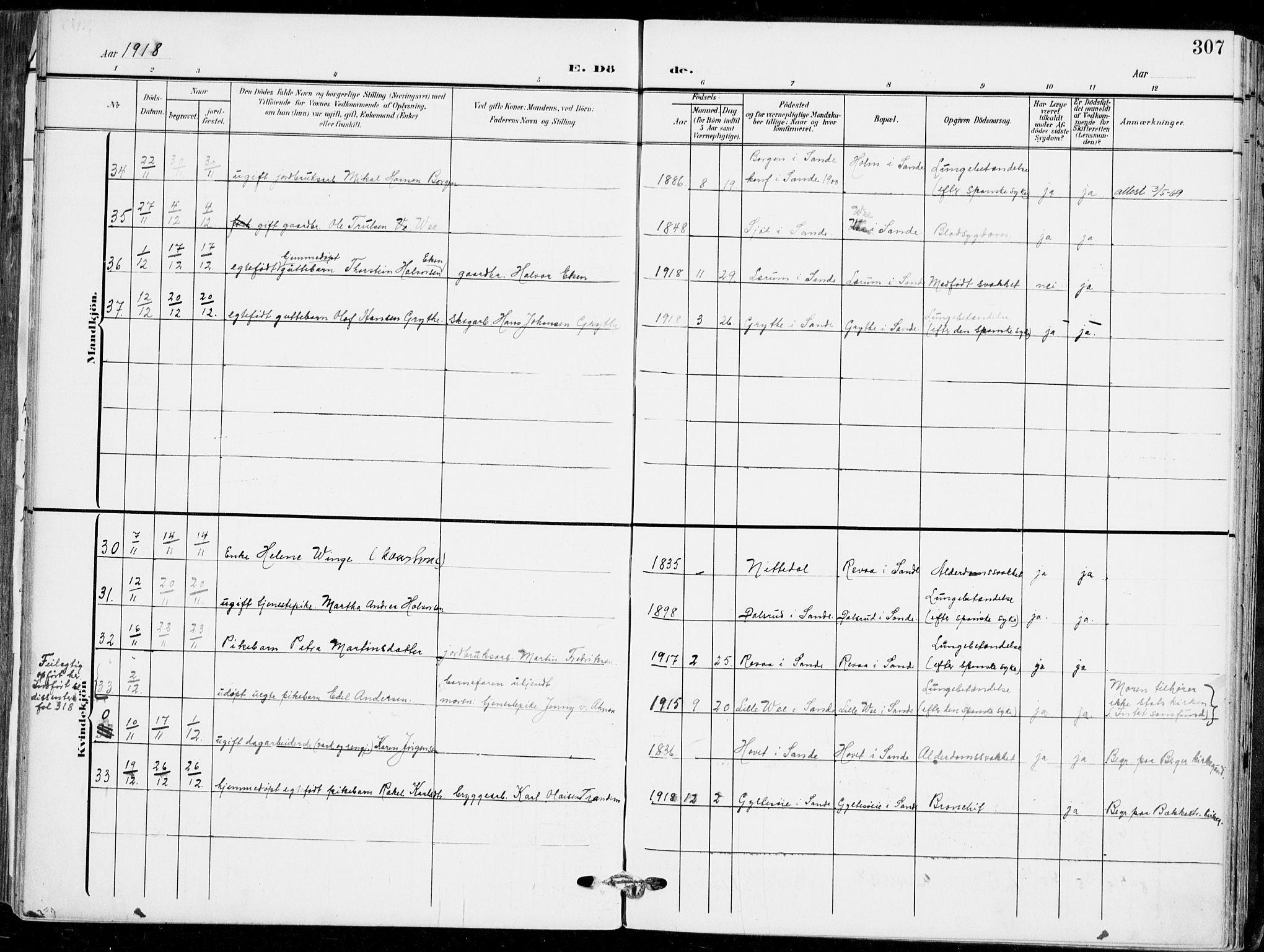 Sande Kirkebøker, AV/SAKO-A-53/F/Fa/L0008: Parish register (official) no. 8, 1904-1921, p. 307