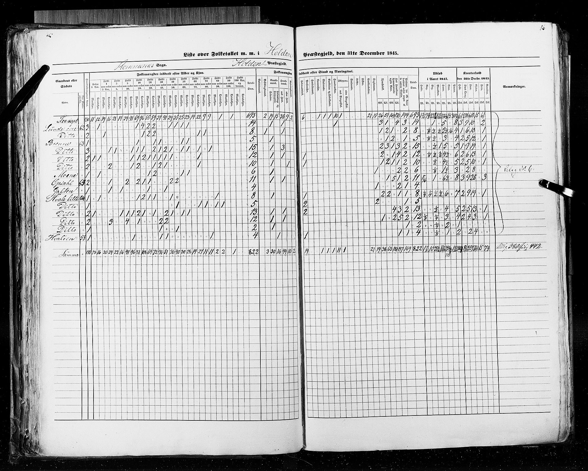 RA, Census 1845, vol. 5: Bratsberg amt og Nedenes og Råbyggelaget amt, 1845, p. 86