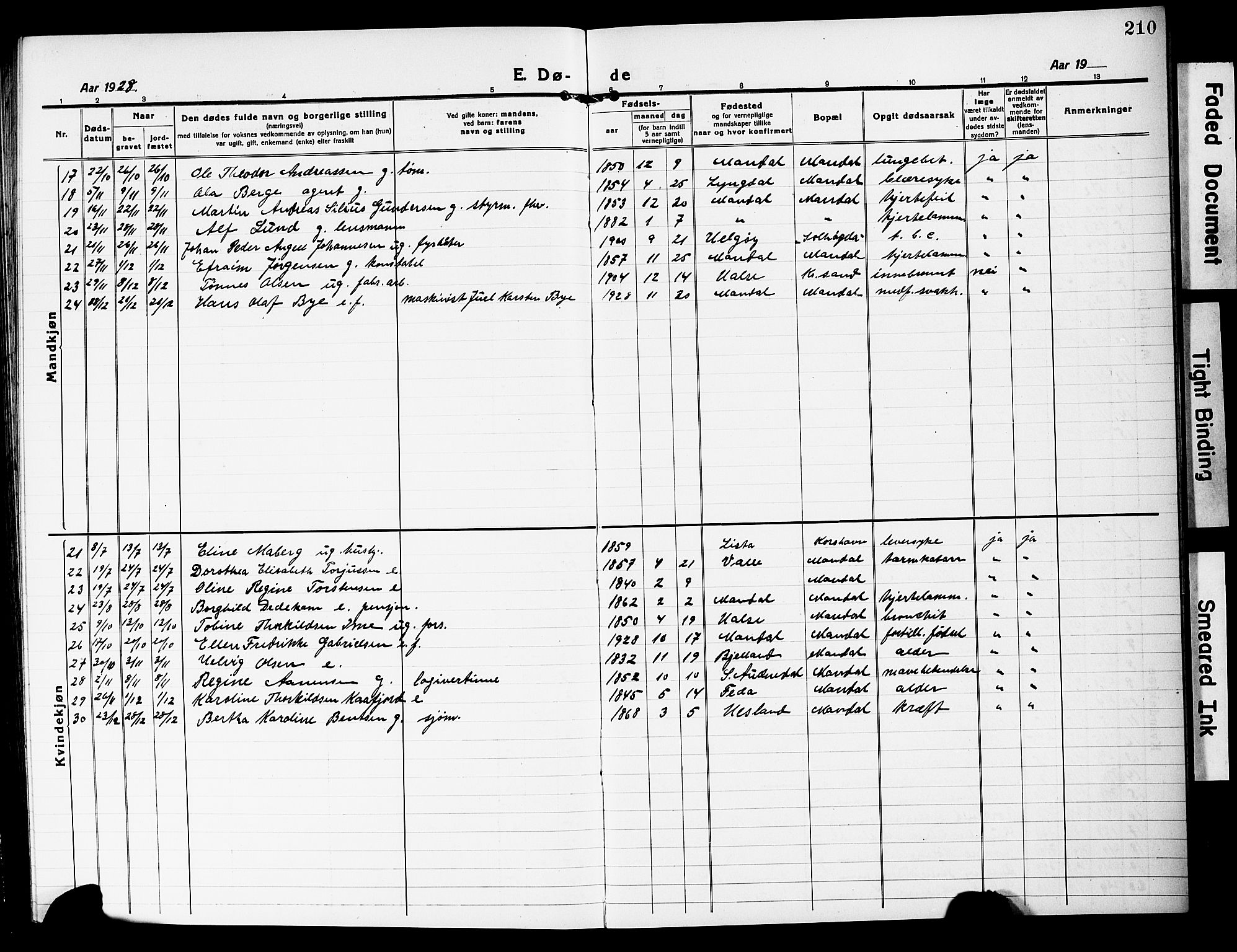 Mandal sokneprestkontor, SAK/1111-0030/F/Fb/Fbc/L0001: Parish register (copy) no. B 1, 1918-1931, p. 210