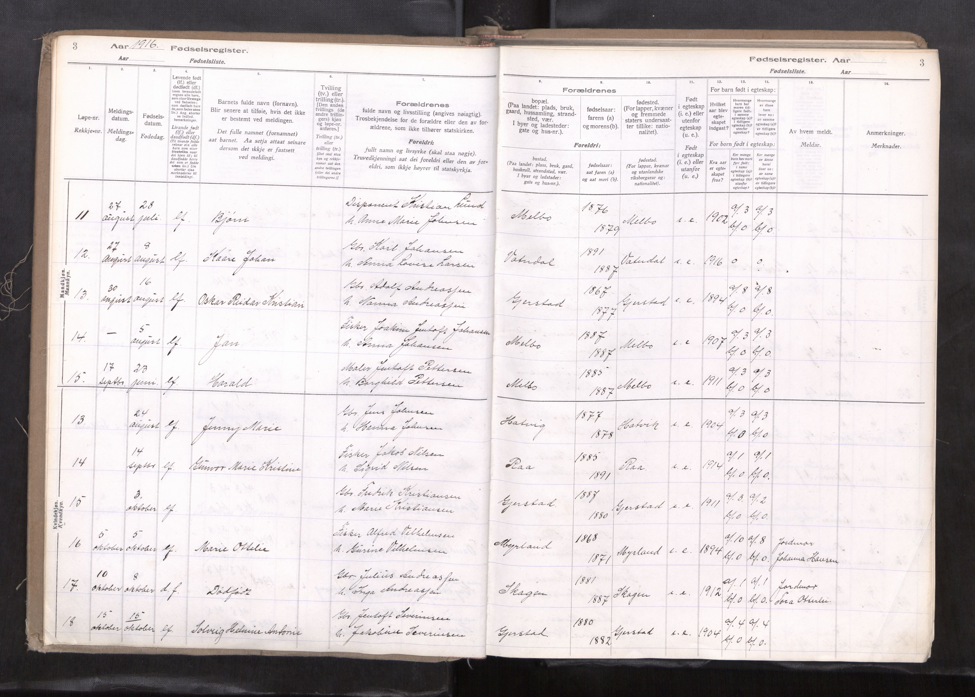 Ministerialprotokoller, klokkerbøker og fødselsregistre - Nordland, AV/SAT-A-1459/888/L1278: Birth register no. 888---, 1916-1924