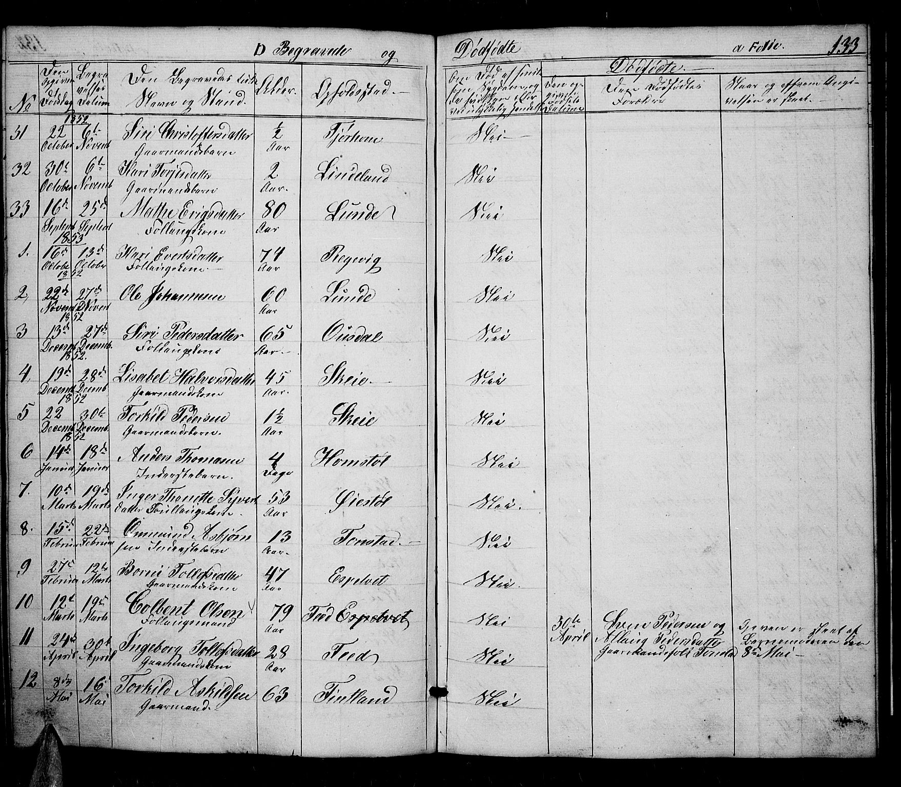 Sirdal sokneprestkontor, AV/SAK-1111-0036/F/Fb/Fbb/L0002: Parish register (copy) no. B 2, 1848-1878, p. 133