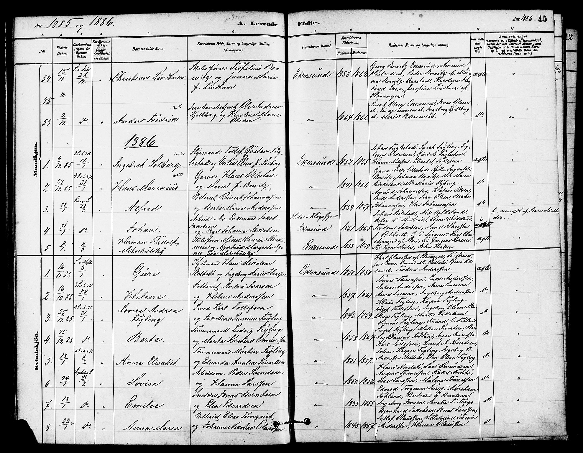 Eigersund sokneprestkontor, SAST/A-101807/S08/L0015: Parish register (official) no. A 15, 1879-1892, p. 45