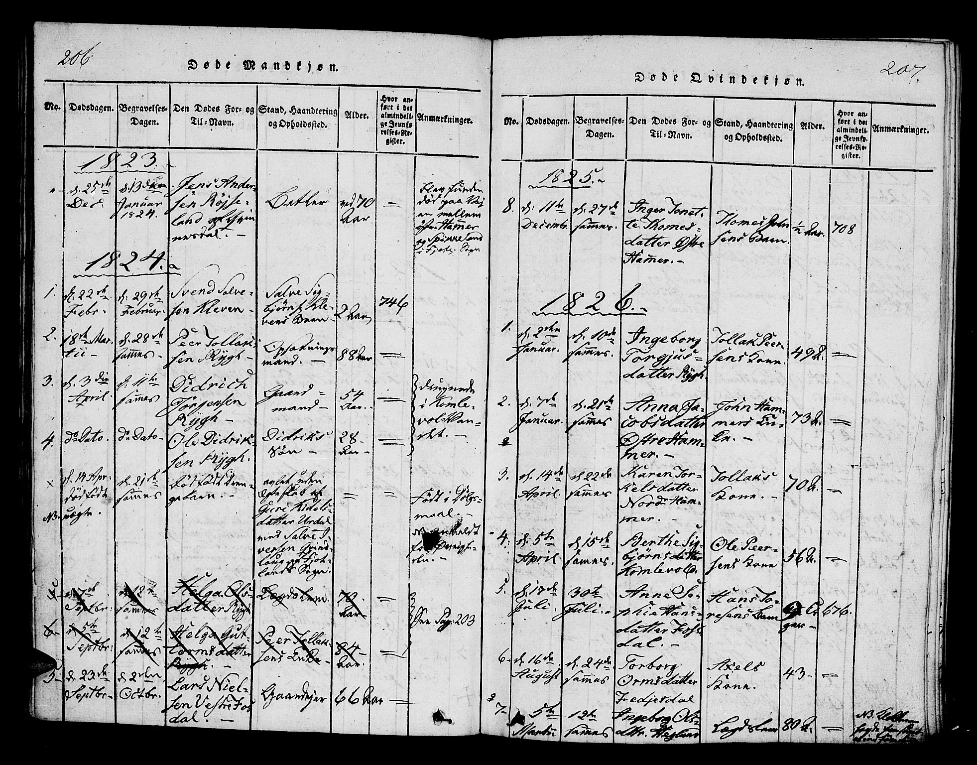 Bakke sokneprestkontor, AV/SAK-1111-0002/F/Fa/Fab/L0001: Parish register (official) no. A 1, 1815-1835, p. 206-207