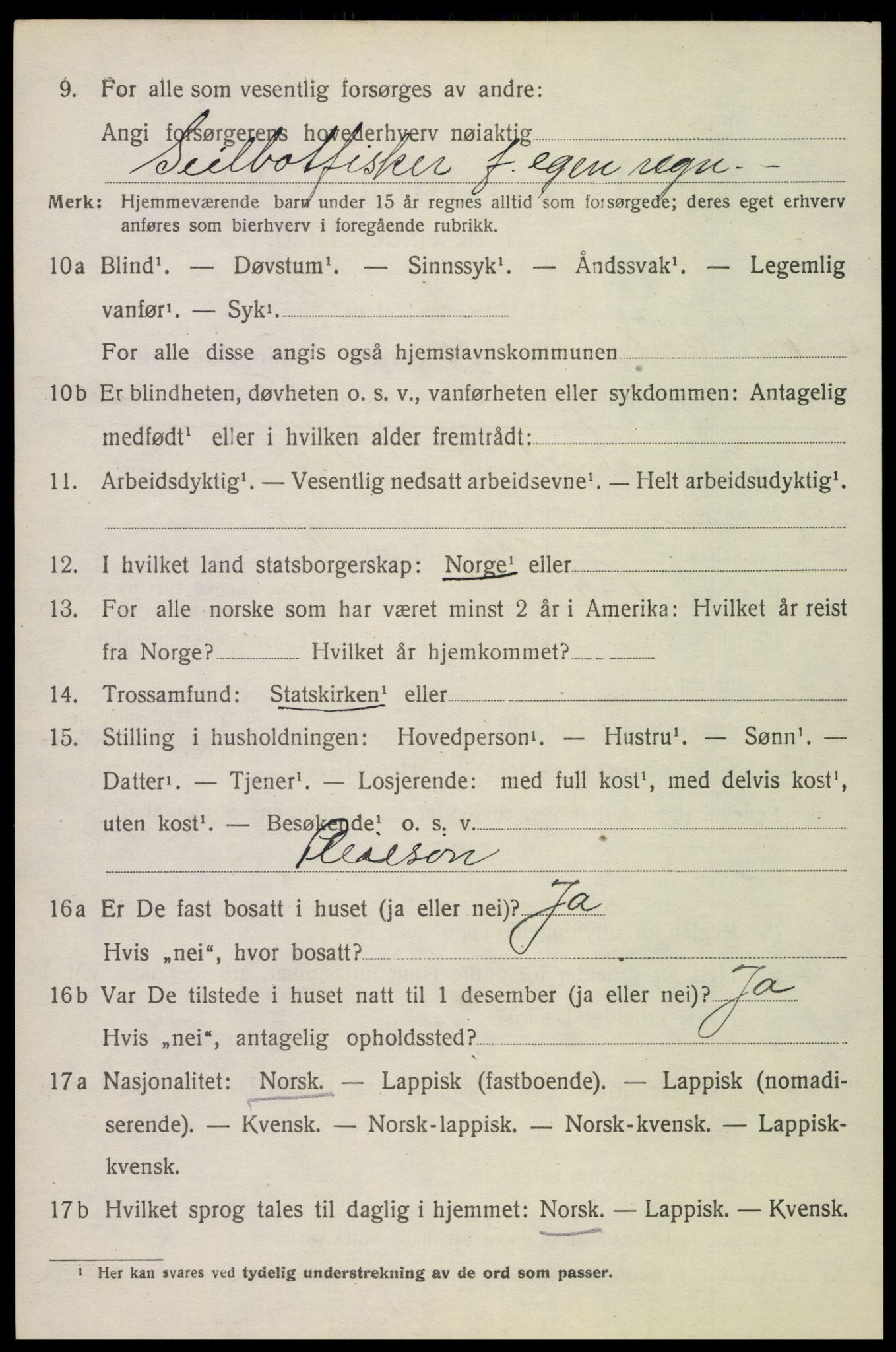 SAT, 1920 census for Bø, 1920, p. 4317