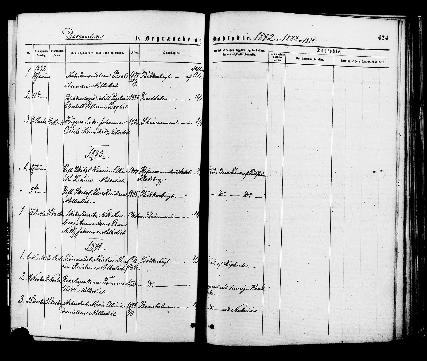 Øyestad sokneprestkontor, SAK/1111-0049/F/Fa/L0016: Parish register (official) no. A 16, 1874-1886, p. 423