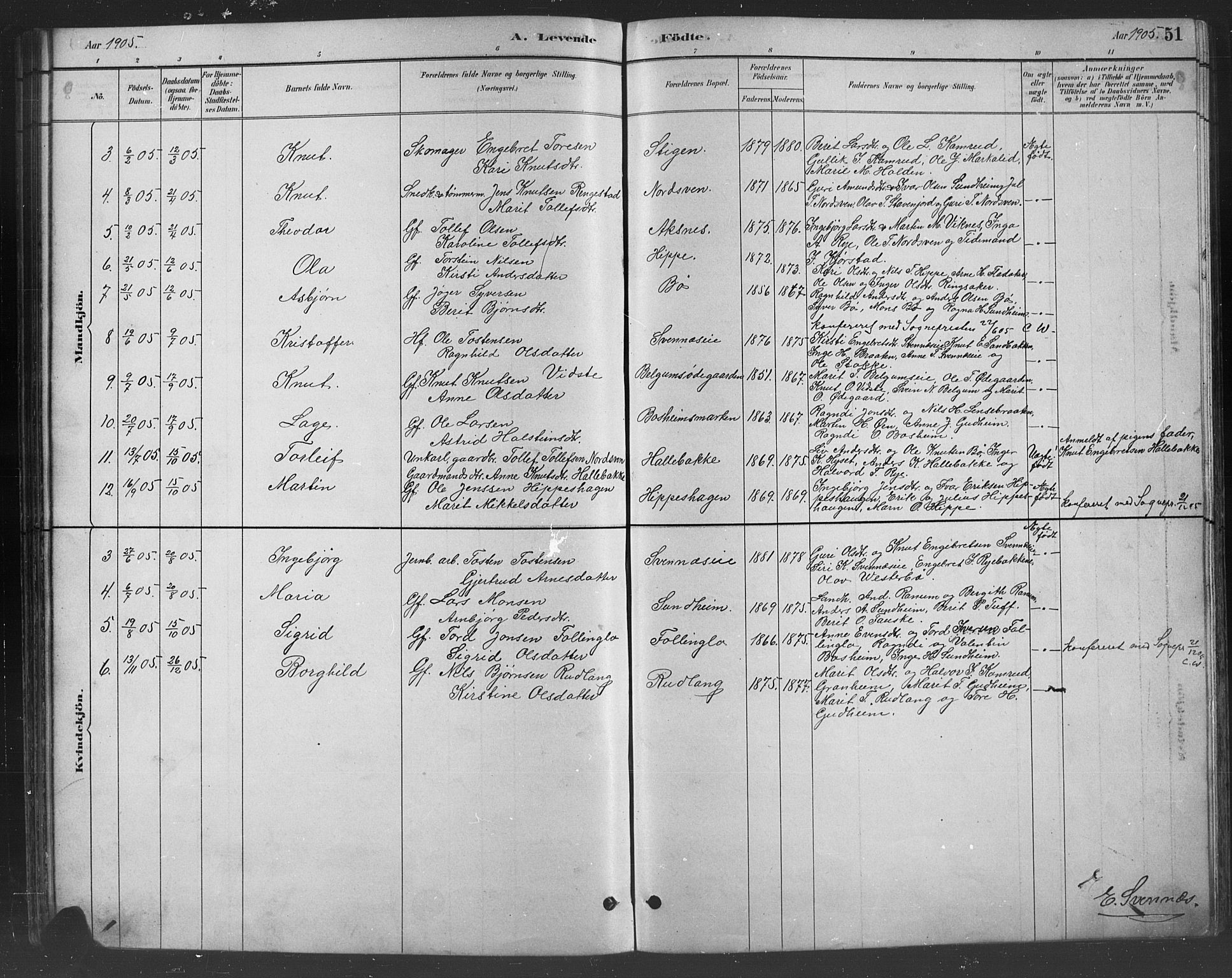 Nord-Aurdal prestekontor, SAH/PREST-132/H/Ha/Hab/L0008: Parish register (copy) no. 8, 1883-1916, p. 51