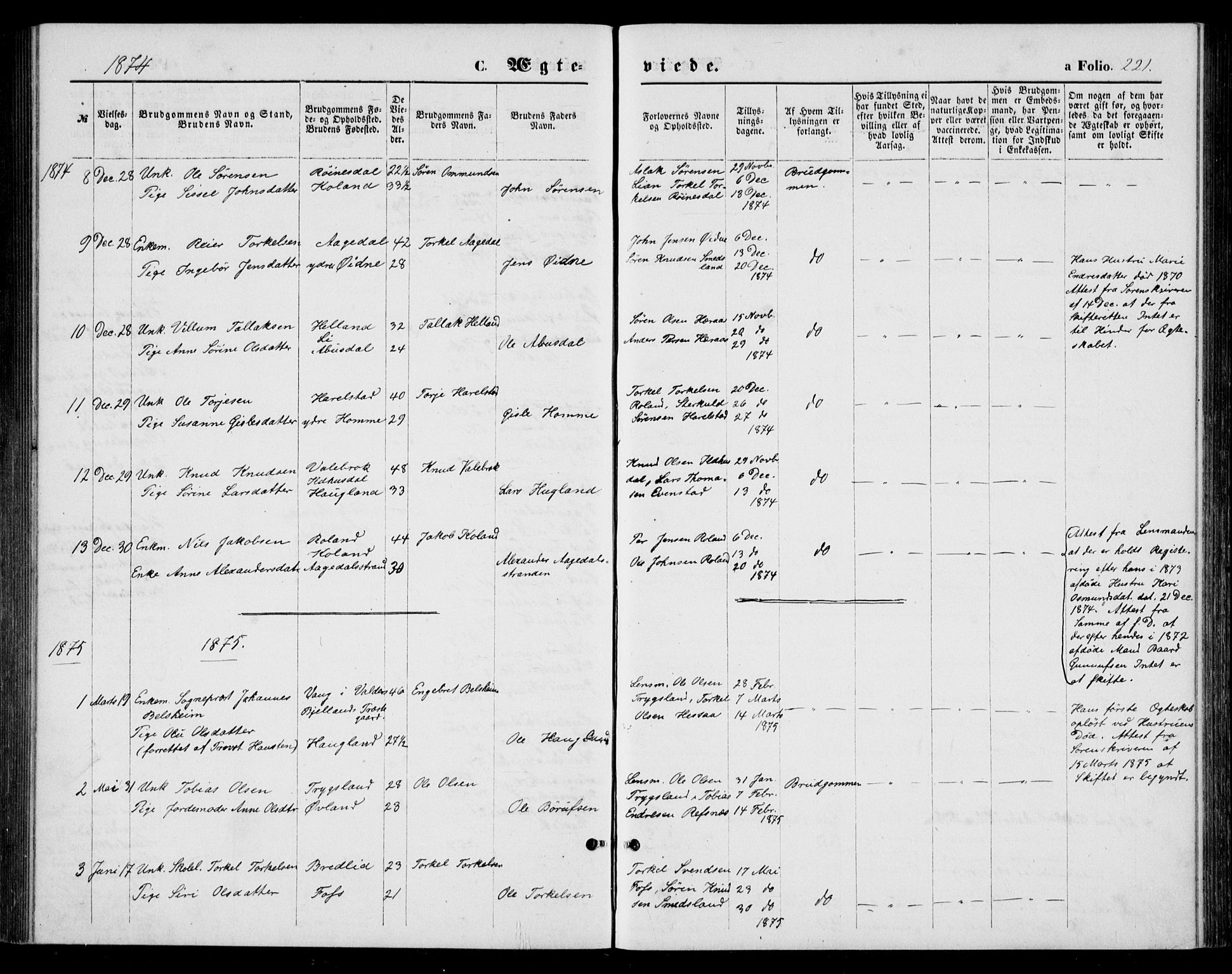 Bjelland sokneprestkontor, AV/SAK-1111-0005/F/Fb/Fba/L0004: Parish register (copy) no. B 4, 1869-1886, p. 221