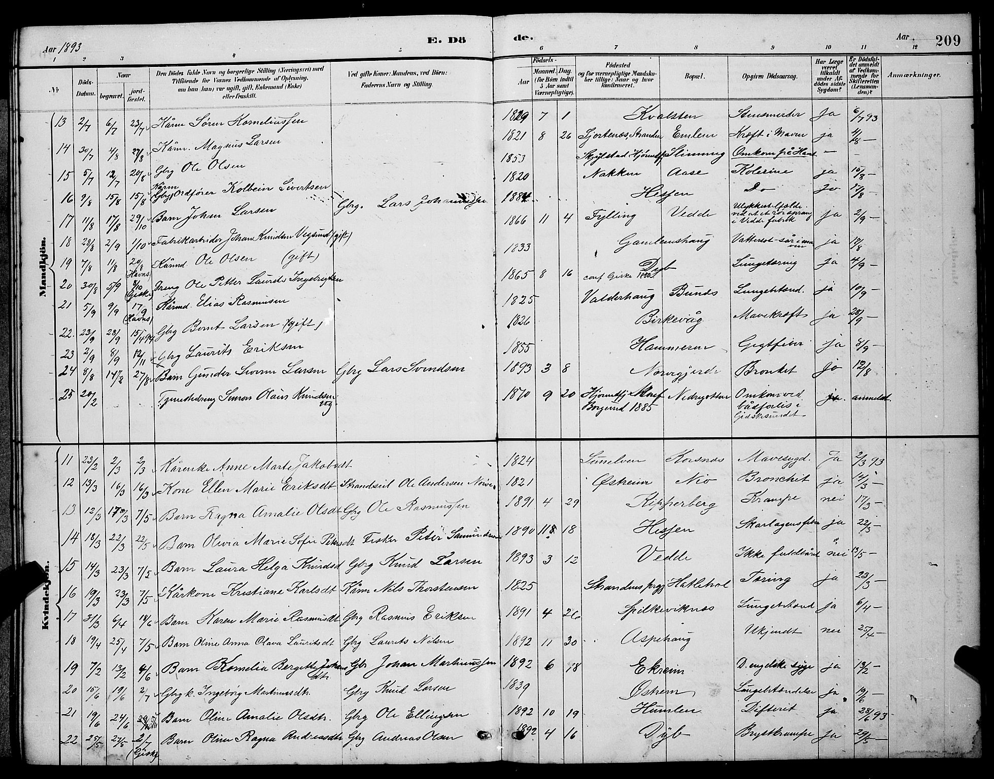 Ministerialprotokoller, klokkerbøker og fødselsregistre - Møre og Romsdal, SAT/A-1454/528/L0430: Parish register (copy) no. 528C11, 1884-1899, p. 209