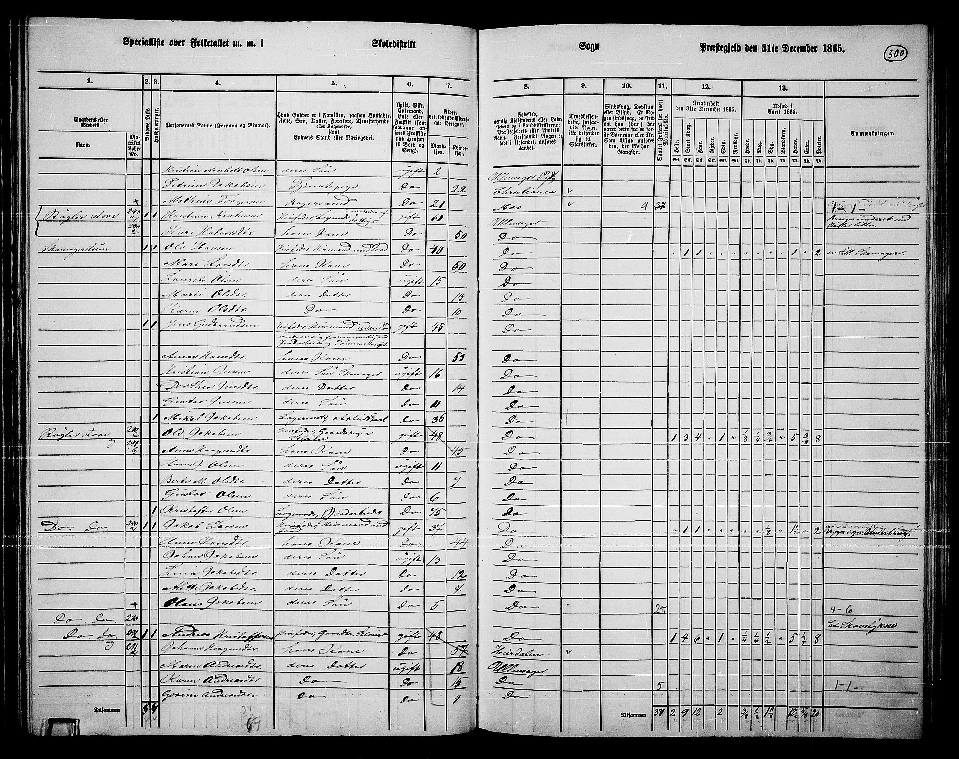 RA, 1865 census for Ullensaker, 1865, p. 260