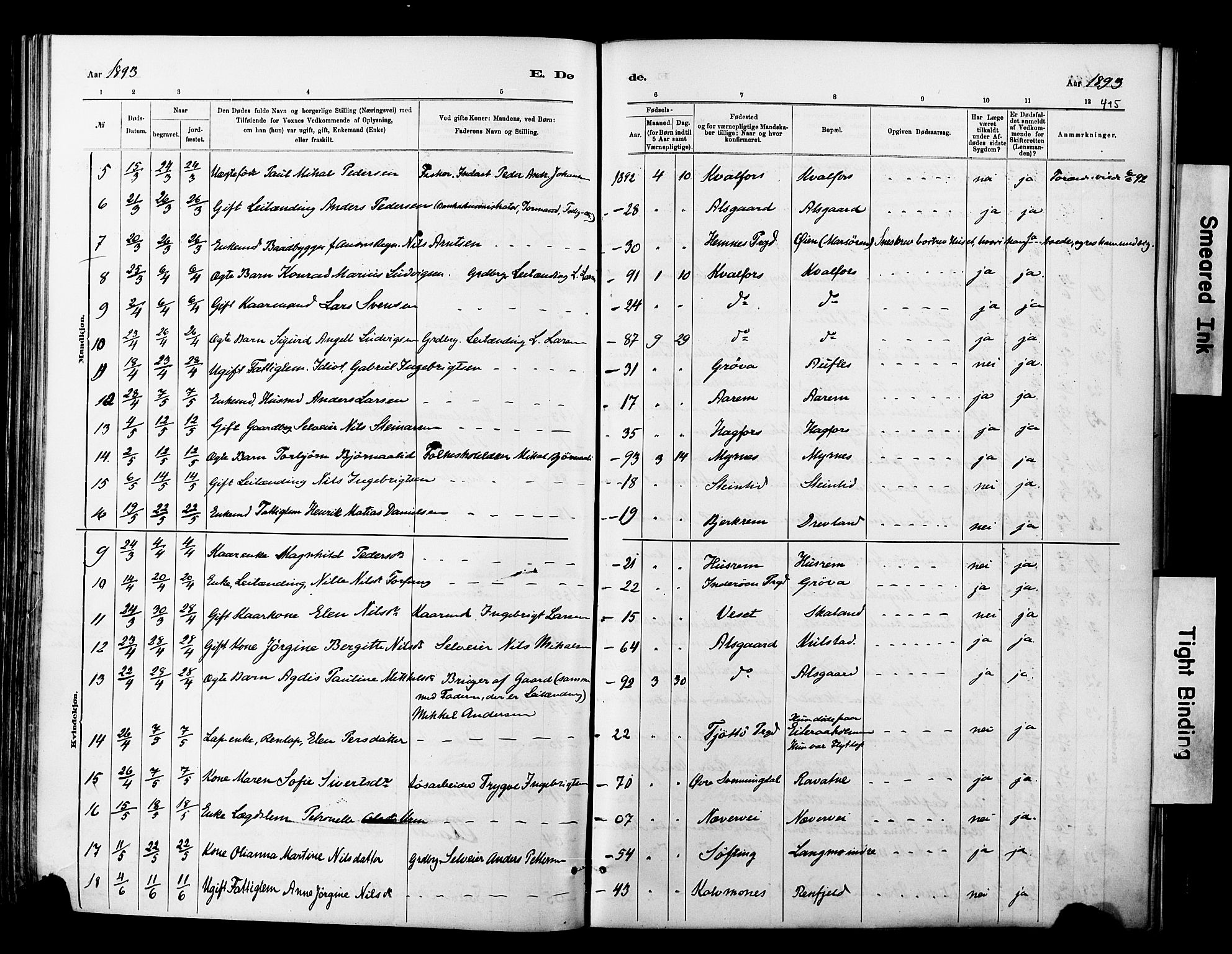 Ministerialprotokoller, klokkerbøker og fødselsregistre - Nordland, AV/SAT-A-1459/820/L0295: Parish register (official) no. 820A16, 1880-1896, p. 415