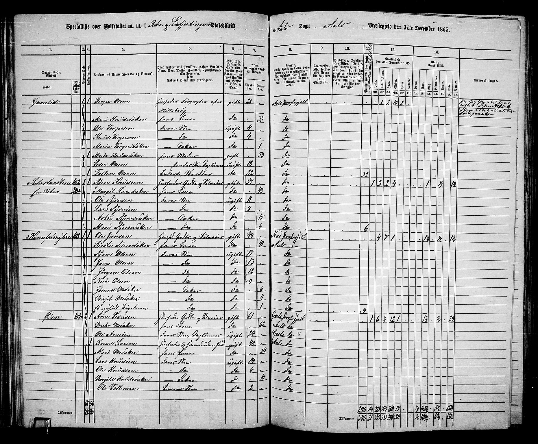 RA, 1865 census for Ål, 1865, p. 66