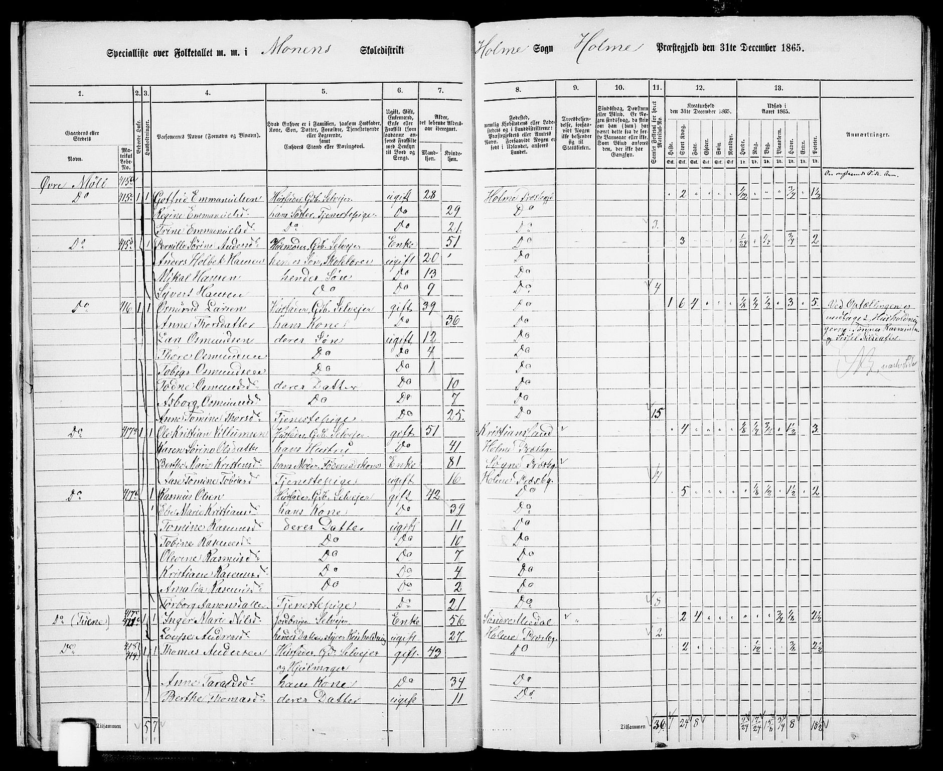 RA, 1865 census for Holum, 1865, p. 17