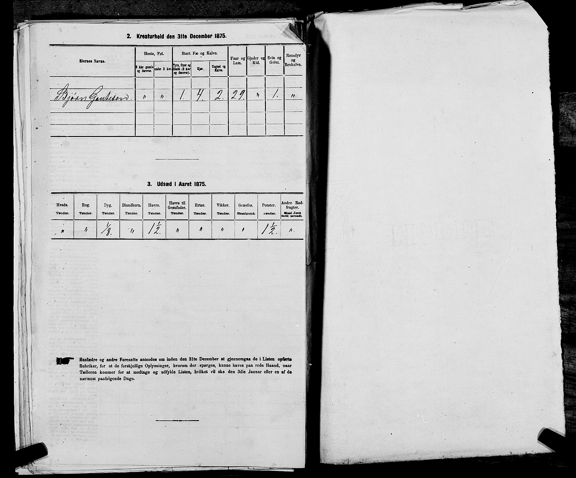 SAST, 1875 census for 1138P Jelsa, 1875, p. 809