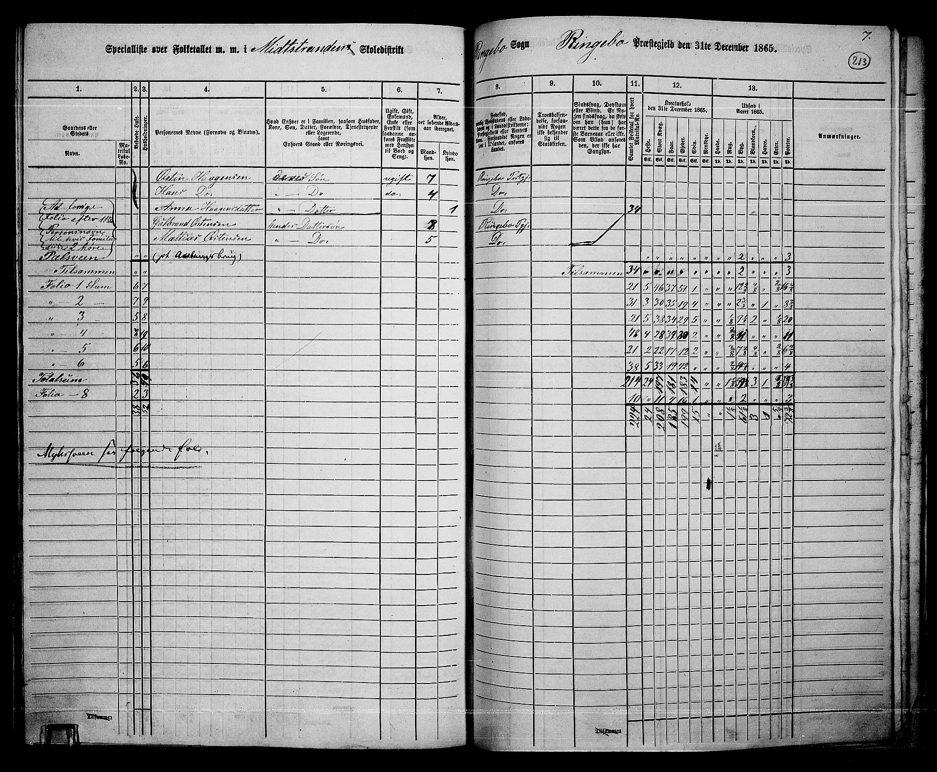 RA, 1865 census for Ringebu, 1865, p. 187